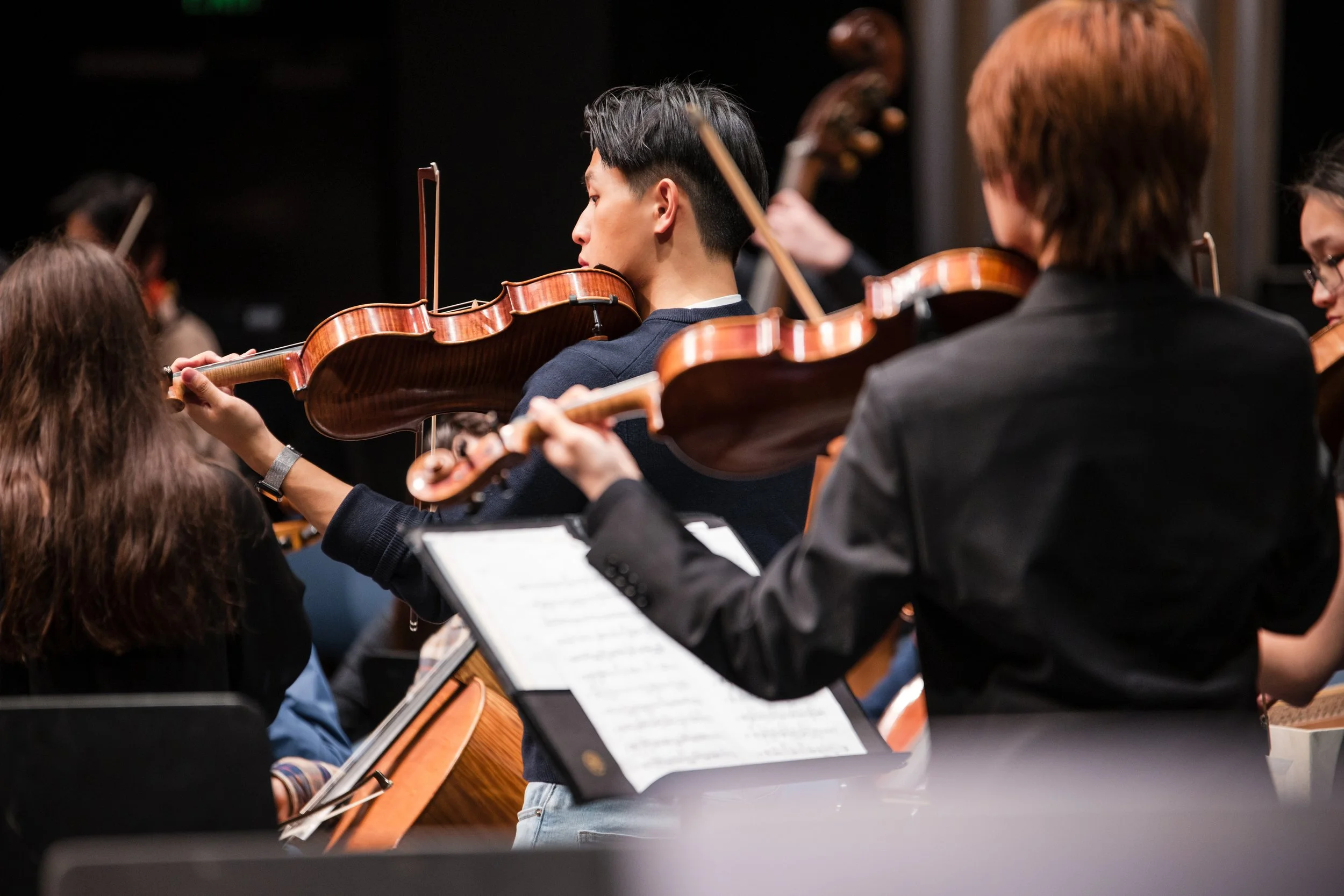 Orchestra musicians playing string instruments during a performance, focusing on a young man with short black hair, wearing a dark sweater.
