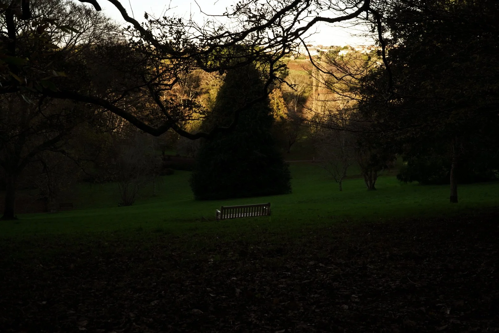 DSC03277.JPG