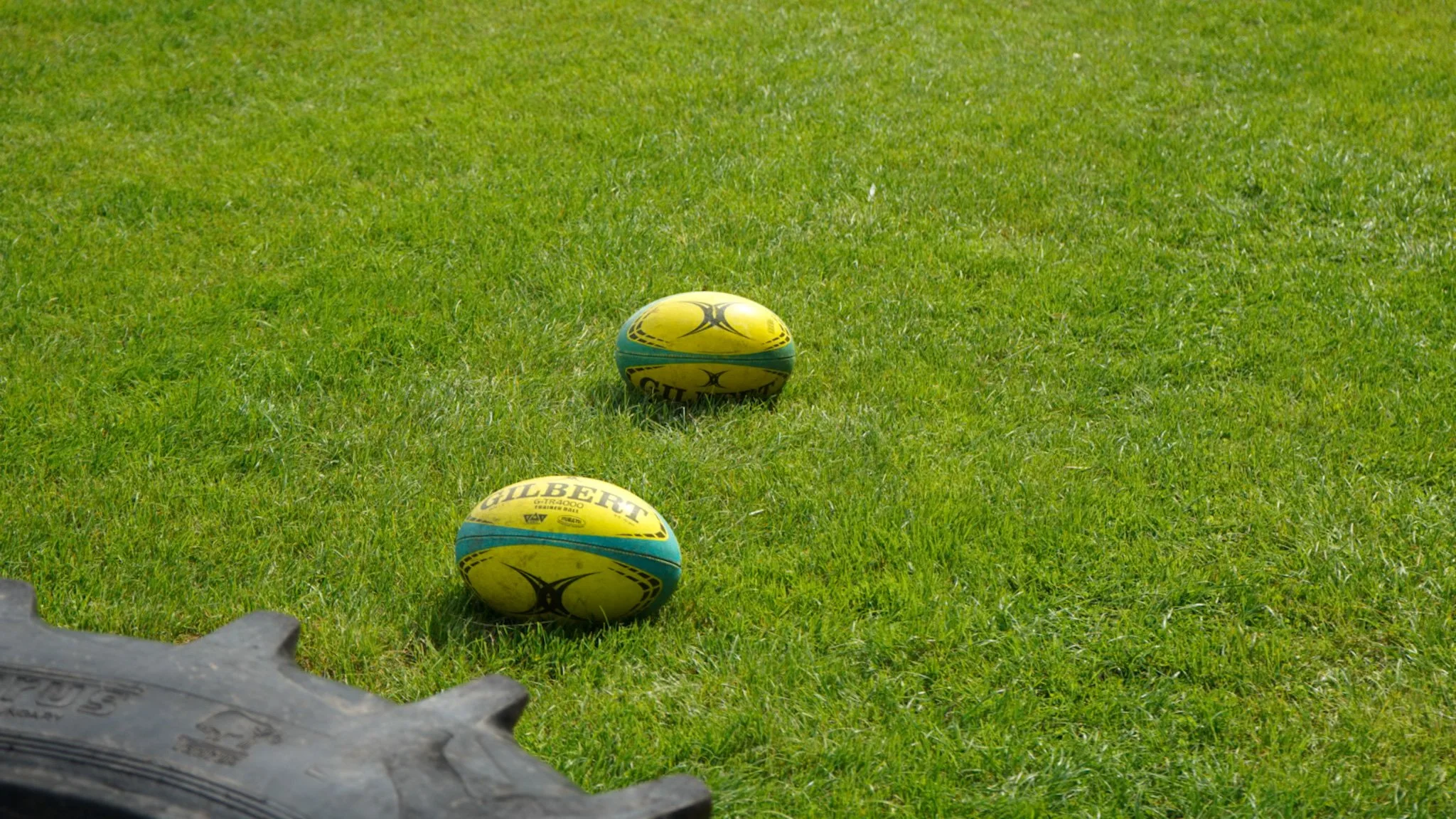 DSC02626.JPG