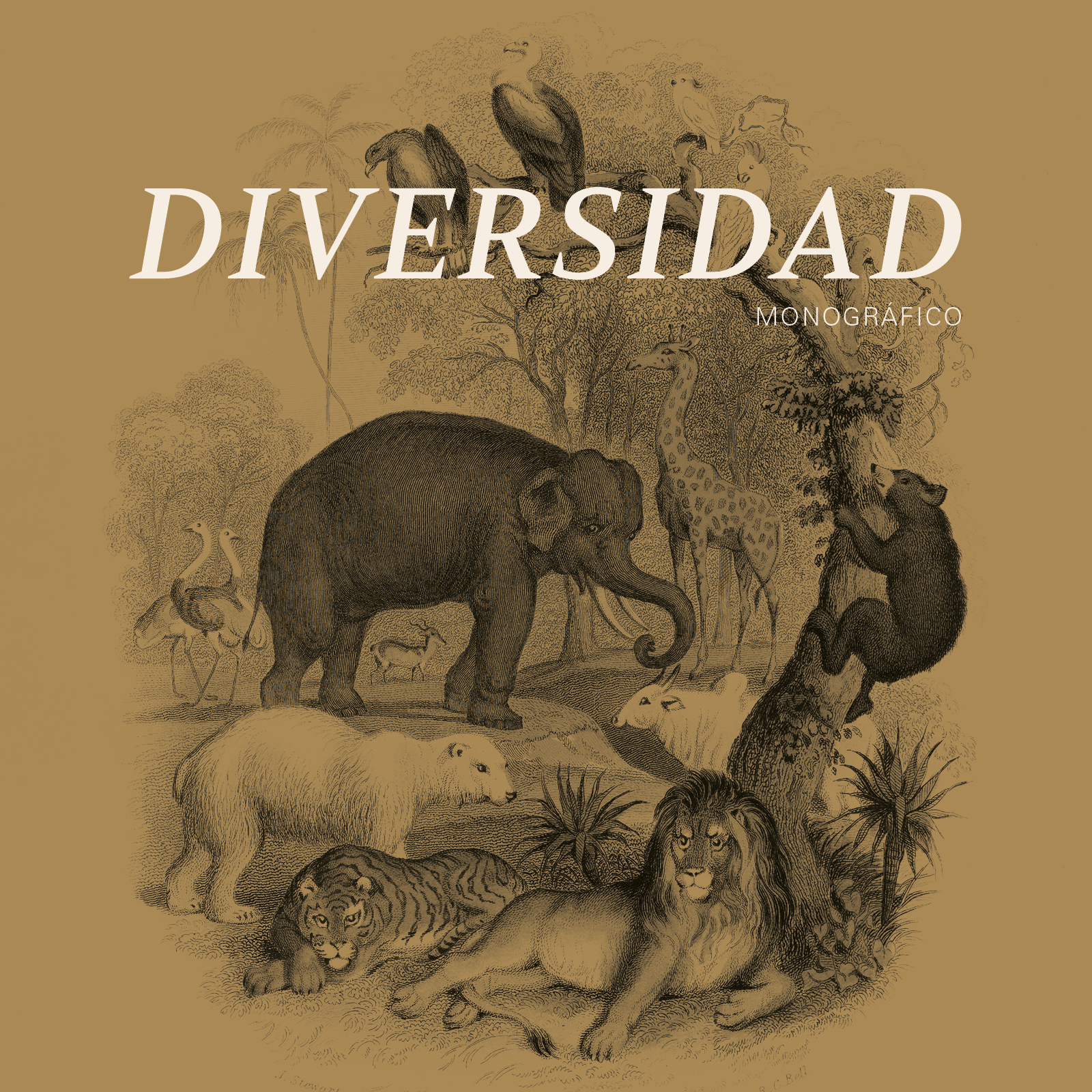 Ilustración en blanco y negro de diferentes animales en un entorno natural, incluyendo un elefante, una jirafa, un oso, un tigre, un león, un oso panda, un tapir, un puma, y aves tropicales en un paisaje con árboles y plantas.