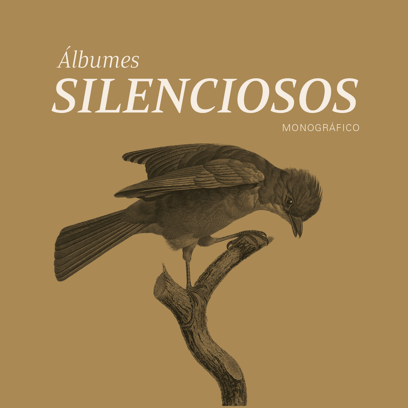 Portada de libro titulado "Álbumes Silenciosos" con dibujo de un pájaro en un árbol en tonalidades sepia.