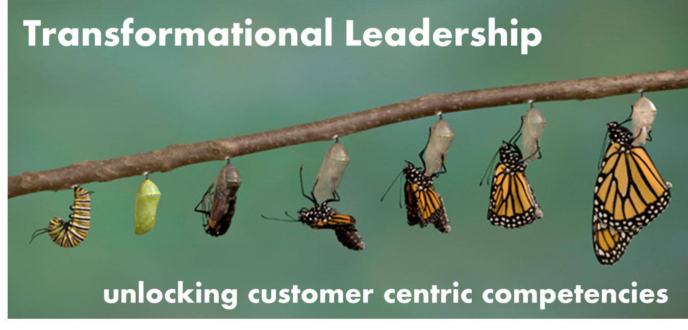Transformational Leadership - the key to unlocking the competencies of Customer Experience Professionals