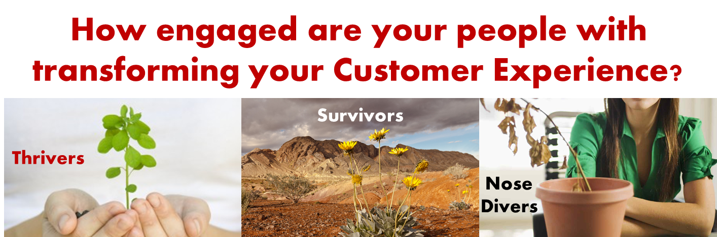 Thrivers, Survivors and Nose-Divers! How to help people BELIEVE in transforming your Customer Experience?