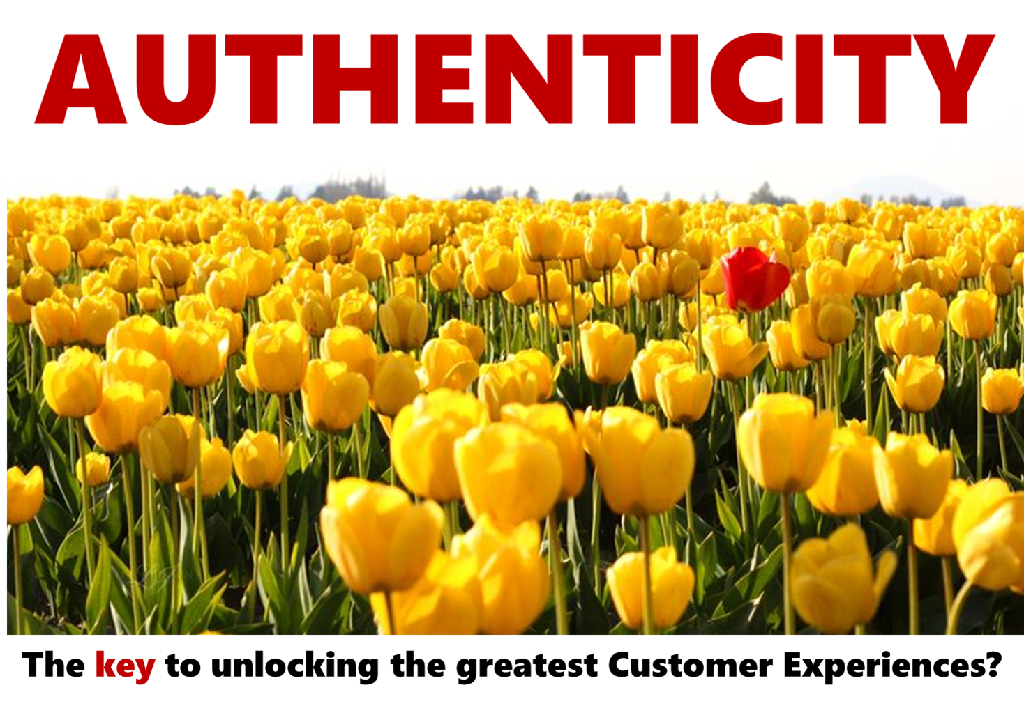 Authenticity - the key to unlocking the greatest Customer Experiences? Featuring case studies from Weleda and Old Mutual Zimbabwe