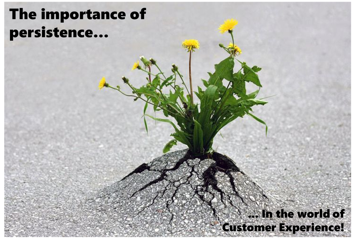 The importance of persistence -  why Customer Experience can only work if it is part of a long term business strategy