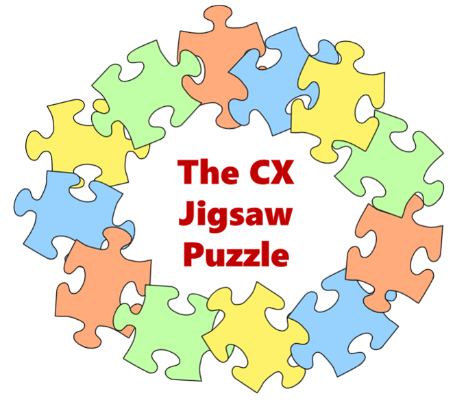 Embedding Customer Centricity: The Customer Experience Jigsaw Puzzle
