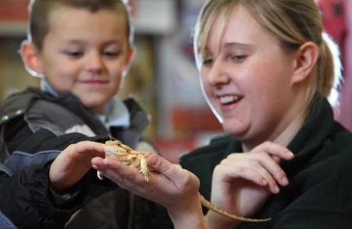 I own a Bearded Dragon too! How well do your staff know their customers?