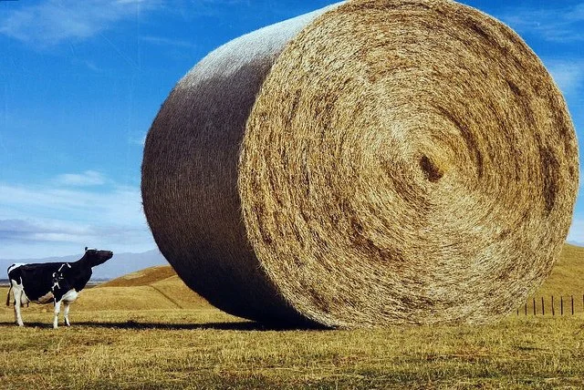 Learn to walk before you start running! - do not bite off more than you can chew in your CX programme