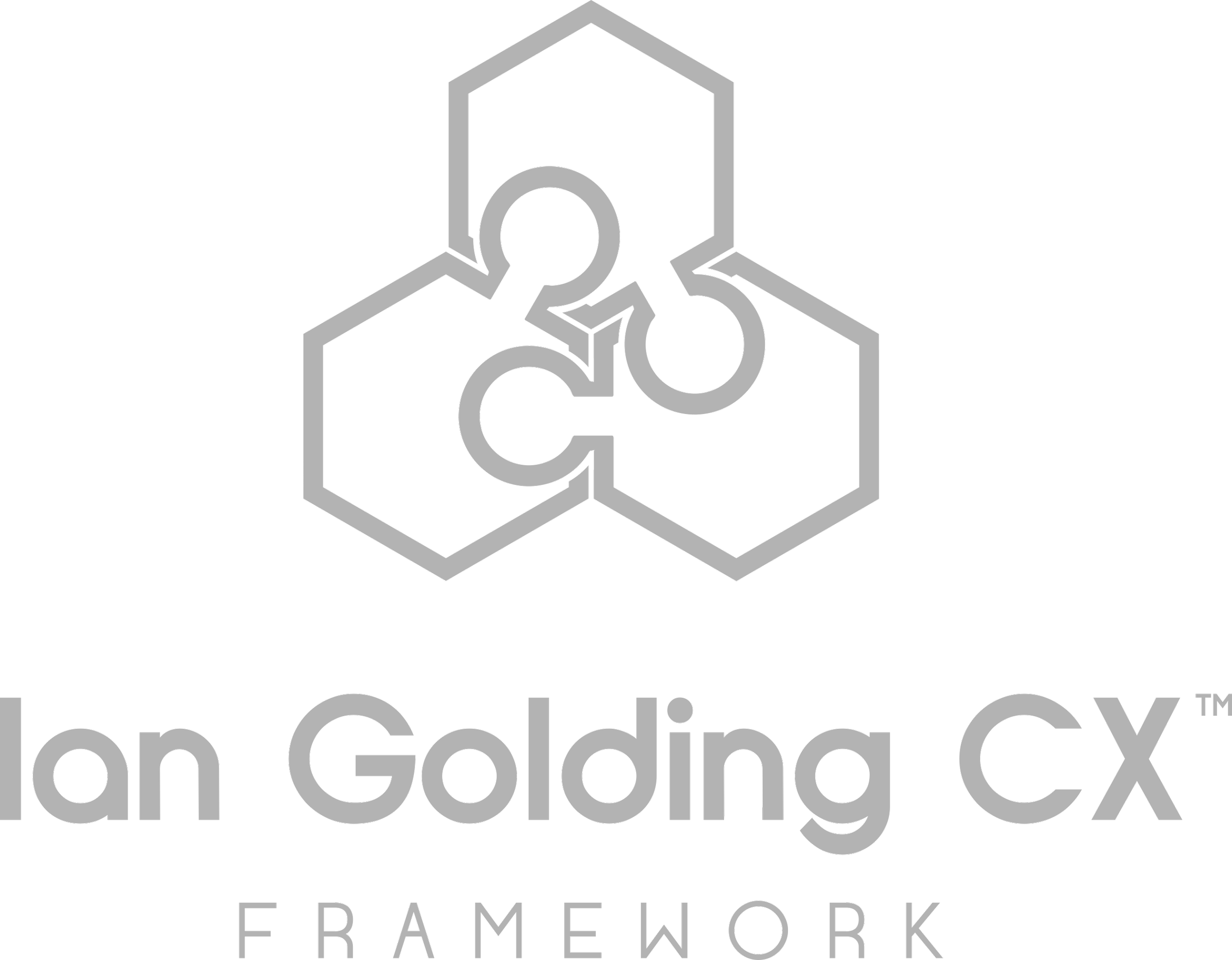 Gray and black logo with hexagon shape and interconnected circles, with text below reading 'Ian Golding FrameWork'.
