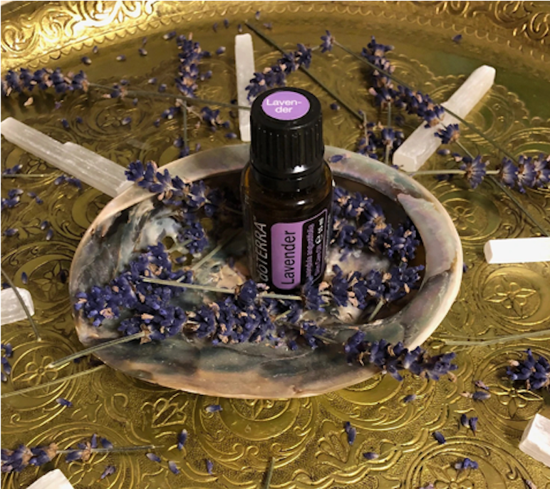 doTERRA Oil #2 LAVENDEL - Über die Magie der Seelenpflanze
