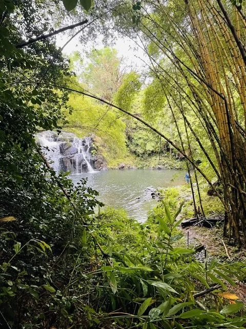 Kleiner Wasserfall zwischen üppigen Pflanzen – Kajas Dusche unter freiem Himmel im Dschungel Hawaiis
