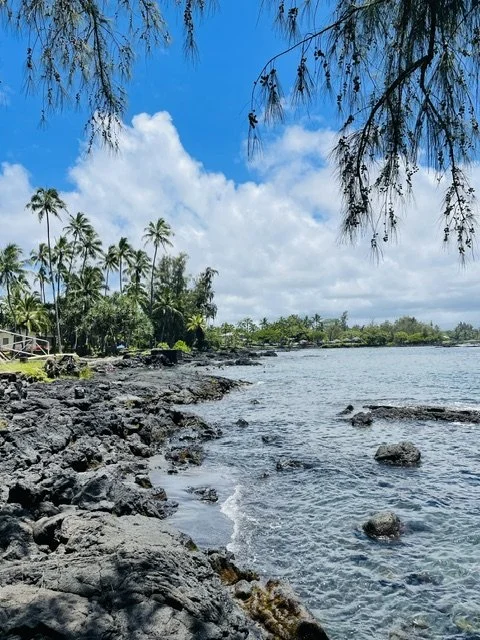 Felsige Lavaküste mit Palmen – Kajas Schwimmplatz mit den Meeresschildkröten auf Big Island