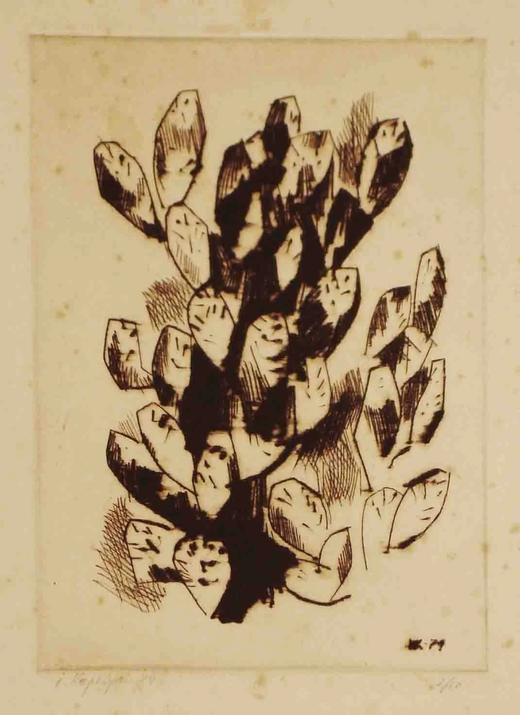 Cactus (1874) - Drypoint, 25 × 17 cm
