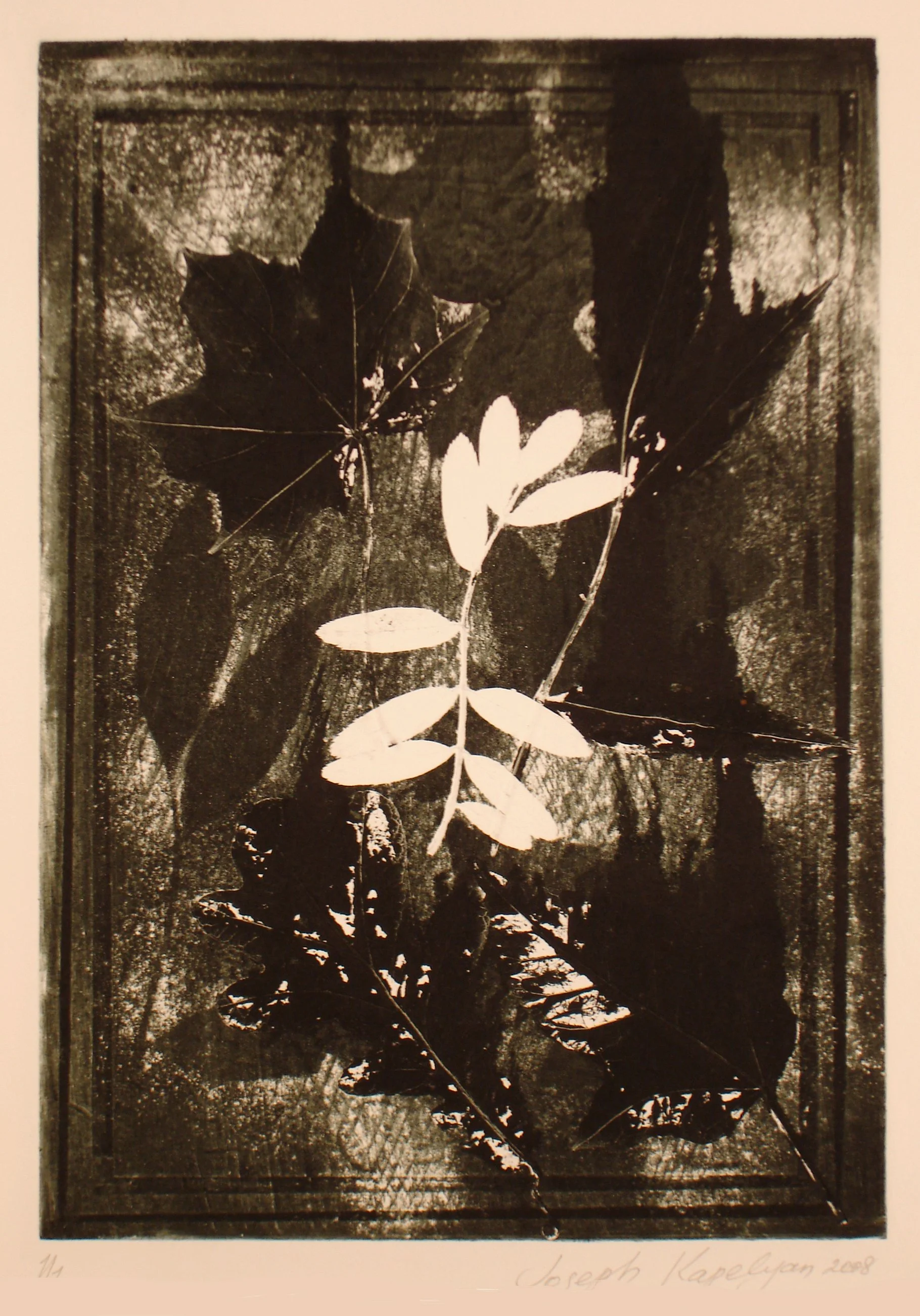 Herbarium 8 – Original Etching & Mixed Media, 40x27 cm