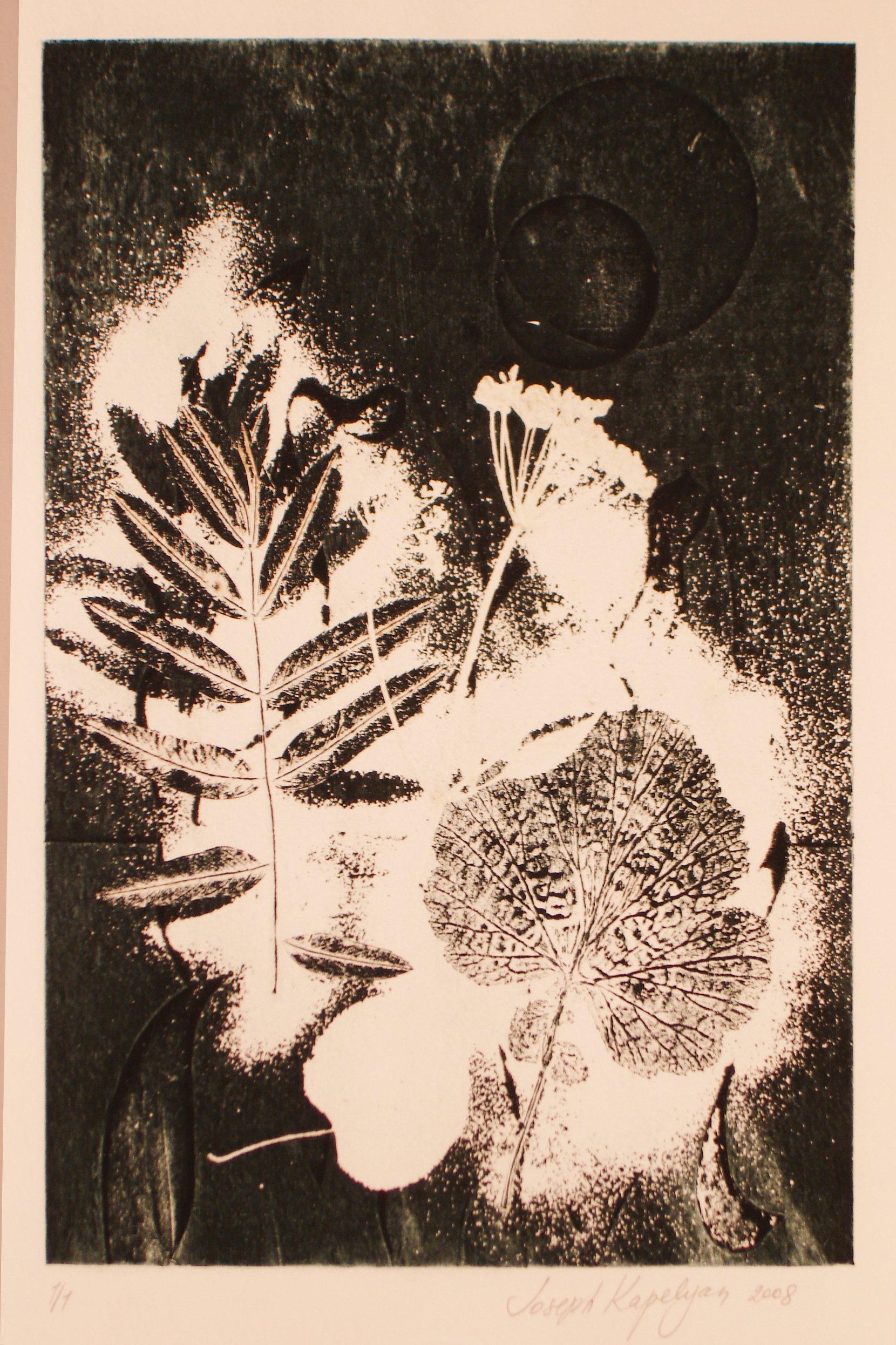Herbarium 12 – Original Etching & Mixed Media, 40x27 cm