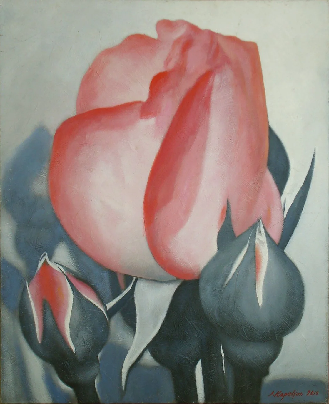 Red Rose