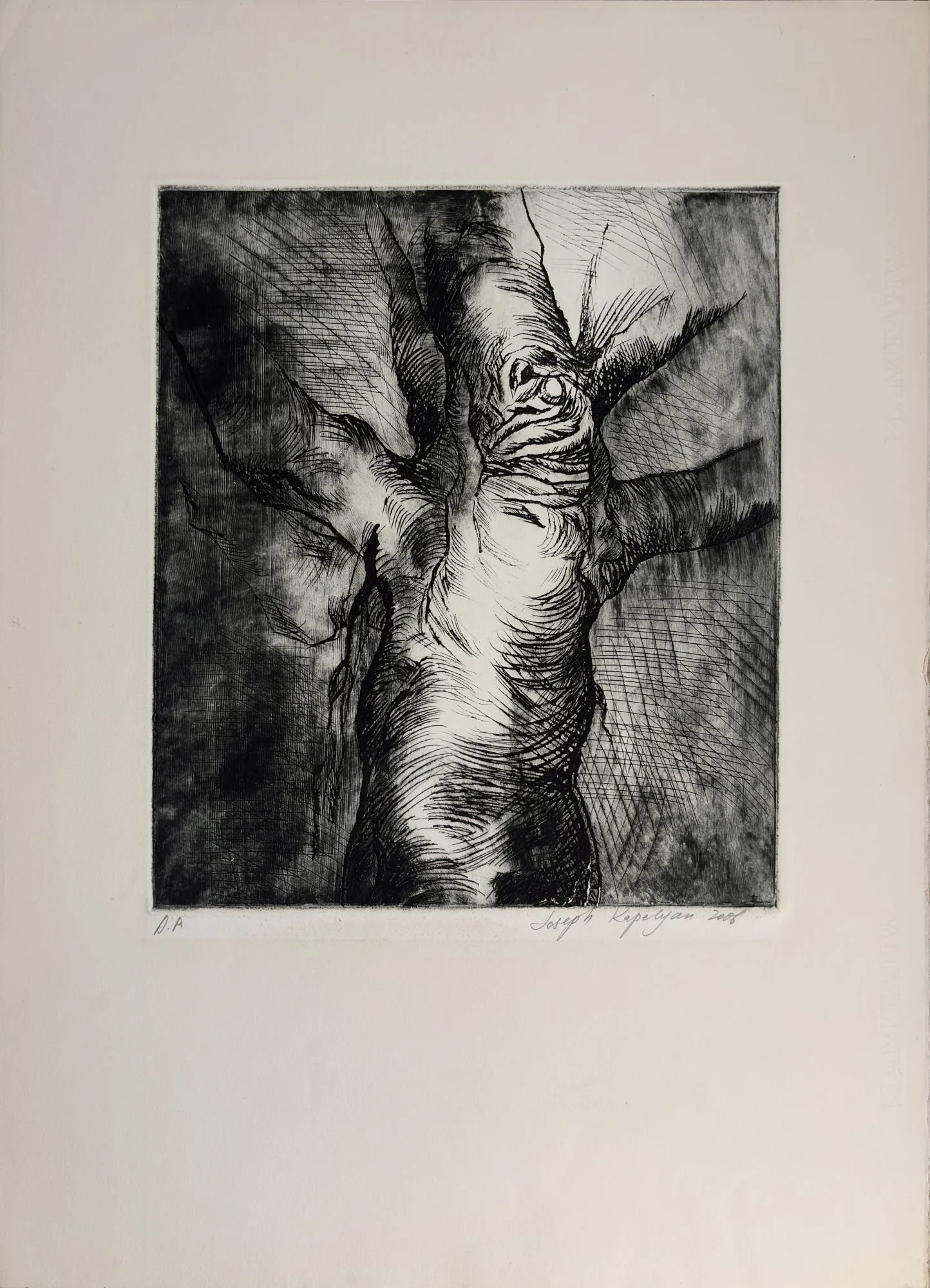 joseph-kapelyan-tree-series-2006-drypoint-38x33cm.jpg