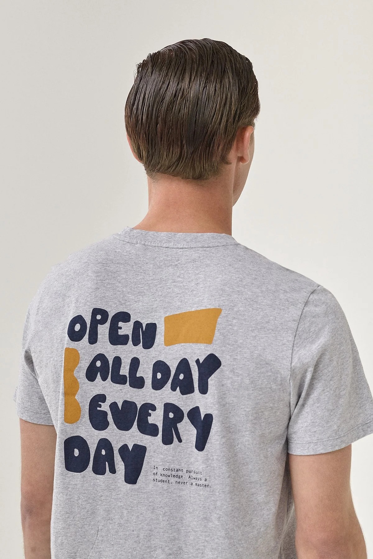 T-REGULAR_OPEN GREY 17.jpg