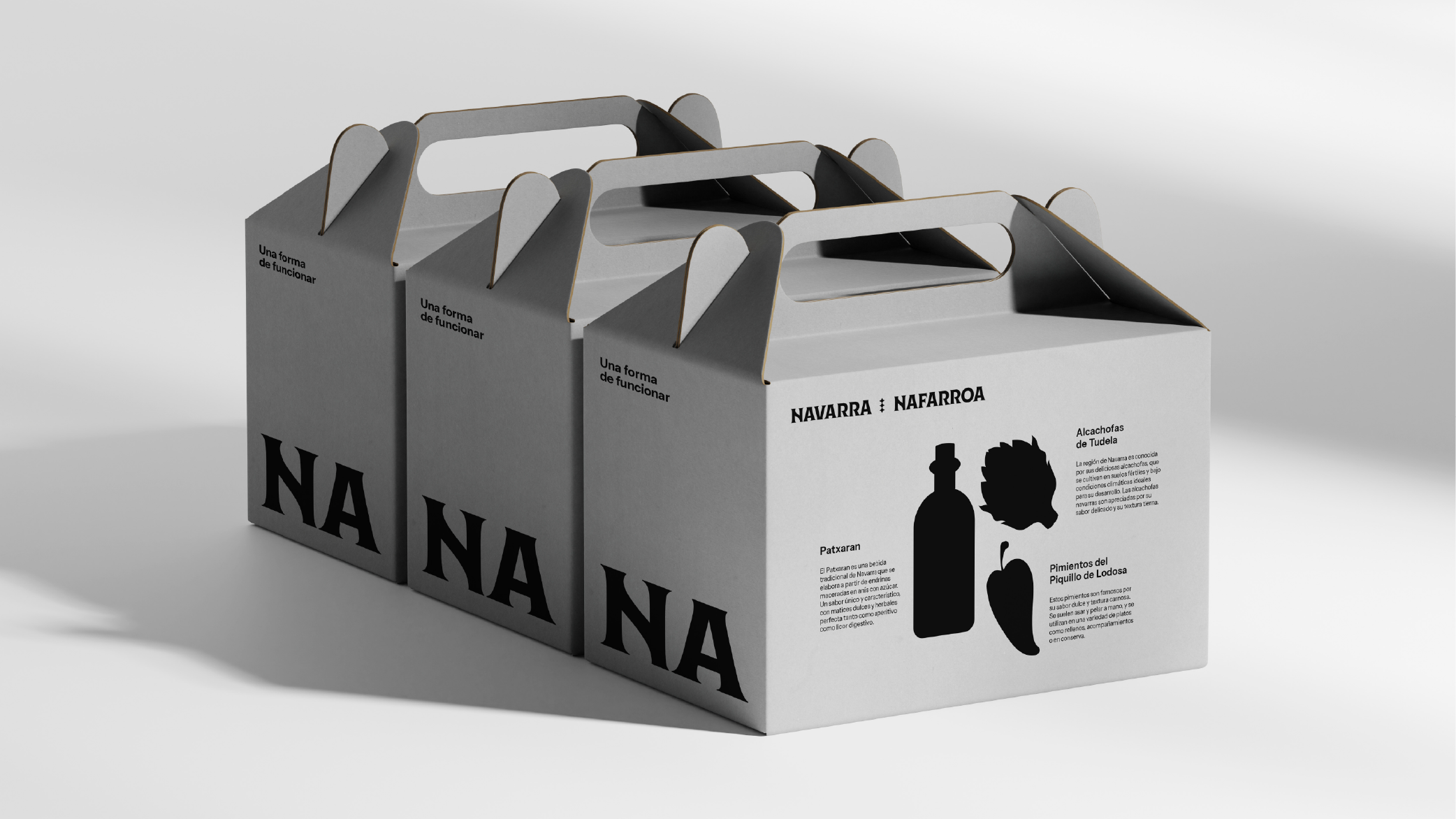 Navarra_Mesa de trabajo 1 copia 7.png
