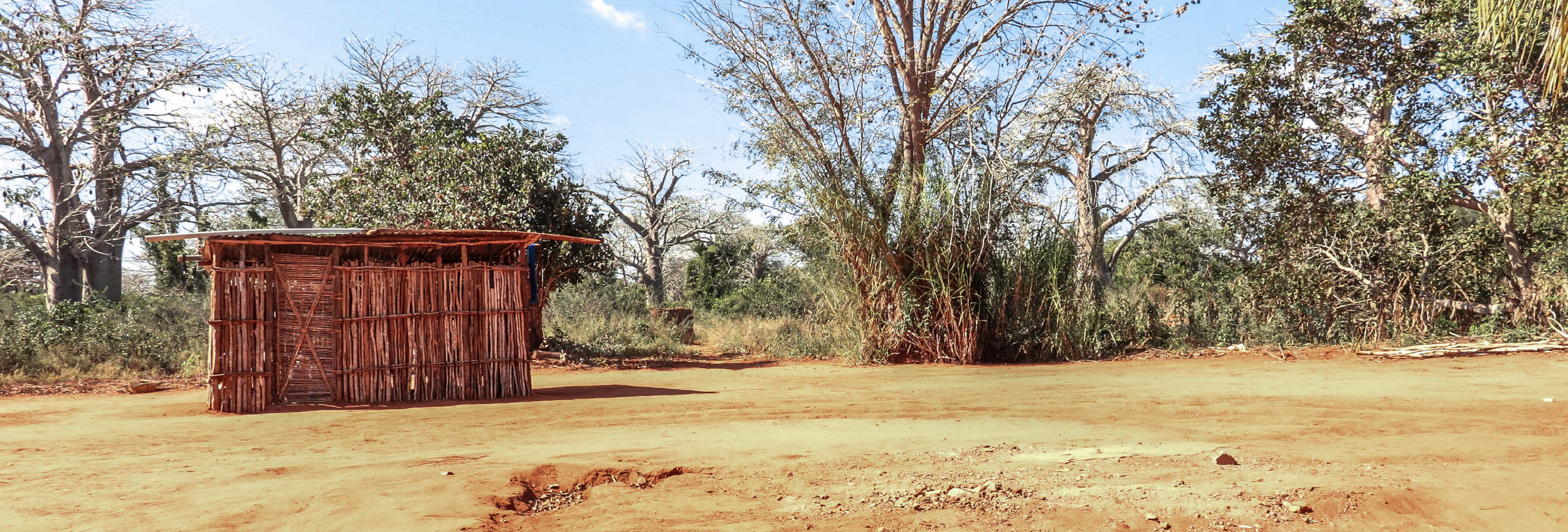 Mobile Health Clinic Update