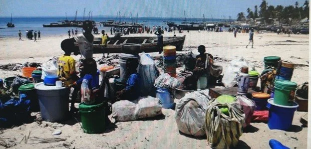 Humanitarian Disaster in Cabo Delgado
