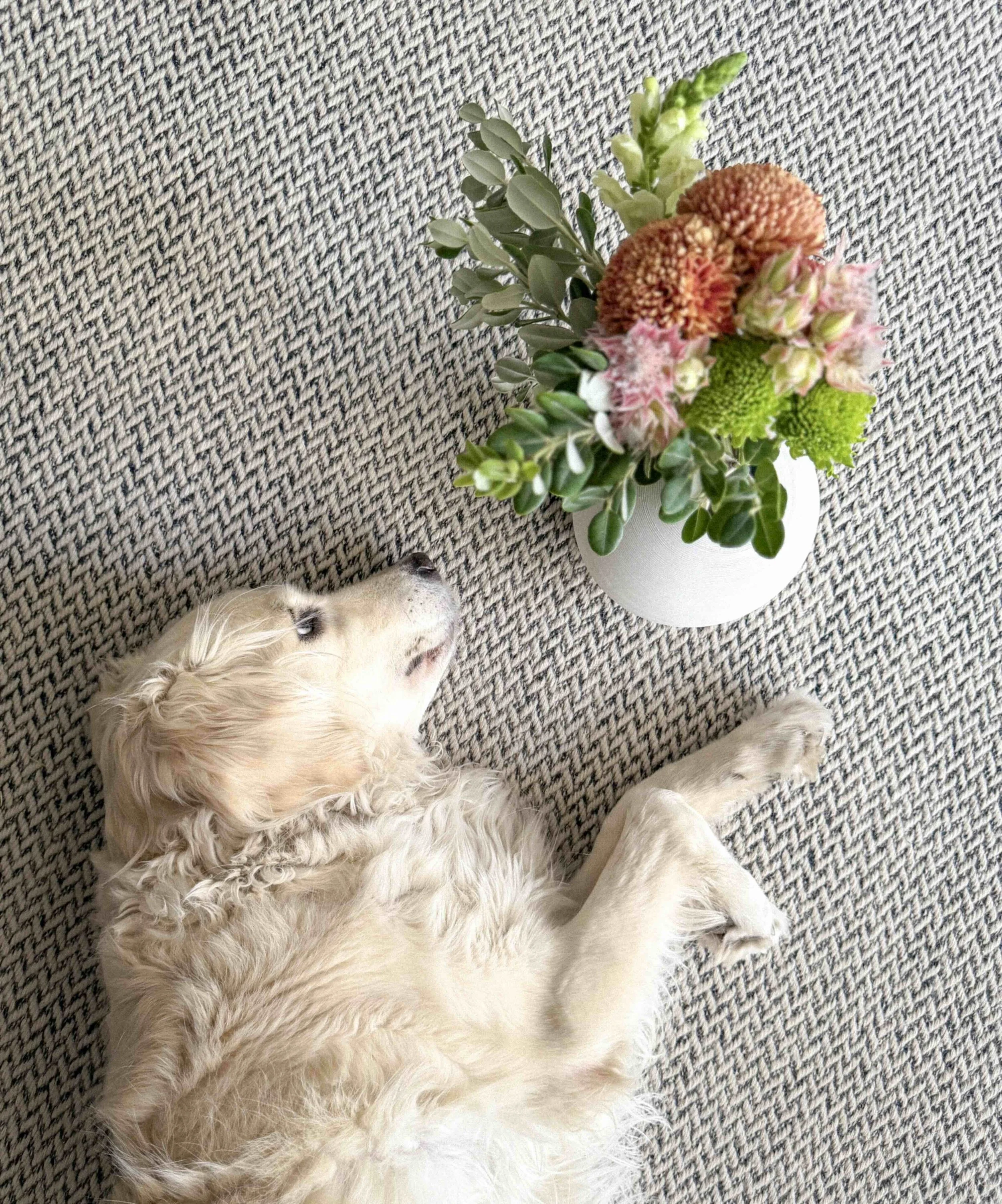 Un chien blanc à poil long allongé sur un tapis à motifs noirs et blancs, avec un bouquet de fleurs colorées dans un vase blanc à côté.