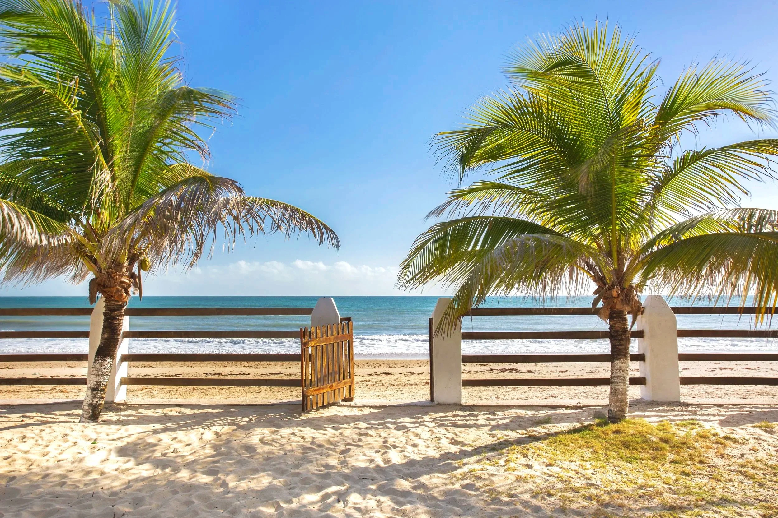 Beach with two palm trees, a wooden gate, a white fence, and ocean waves under a clear blue sky.