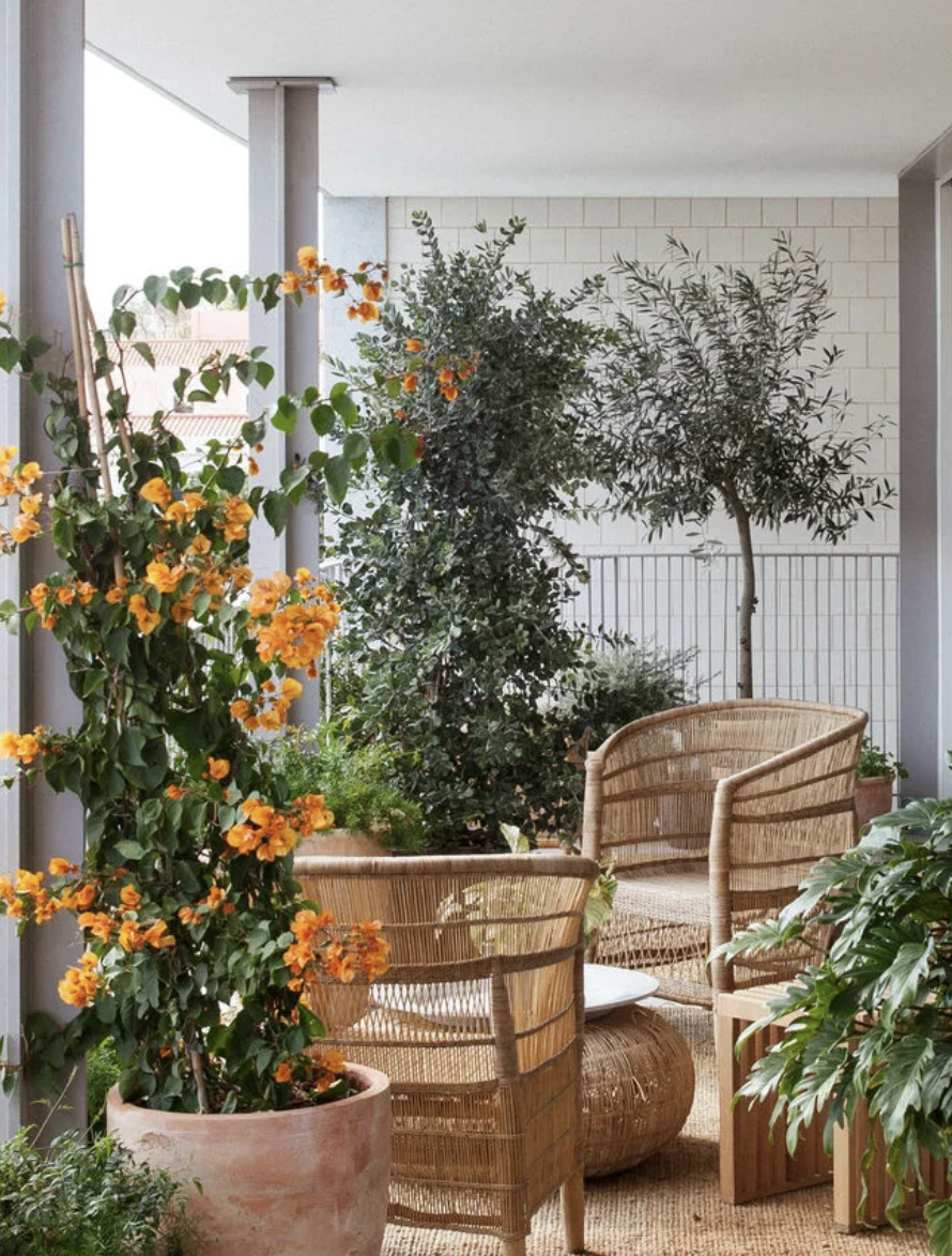 Indoor patio with wicker chairs, potted plants, and a trellis wall, illuminated by natural light.