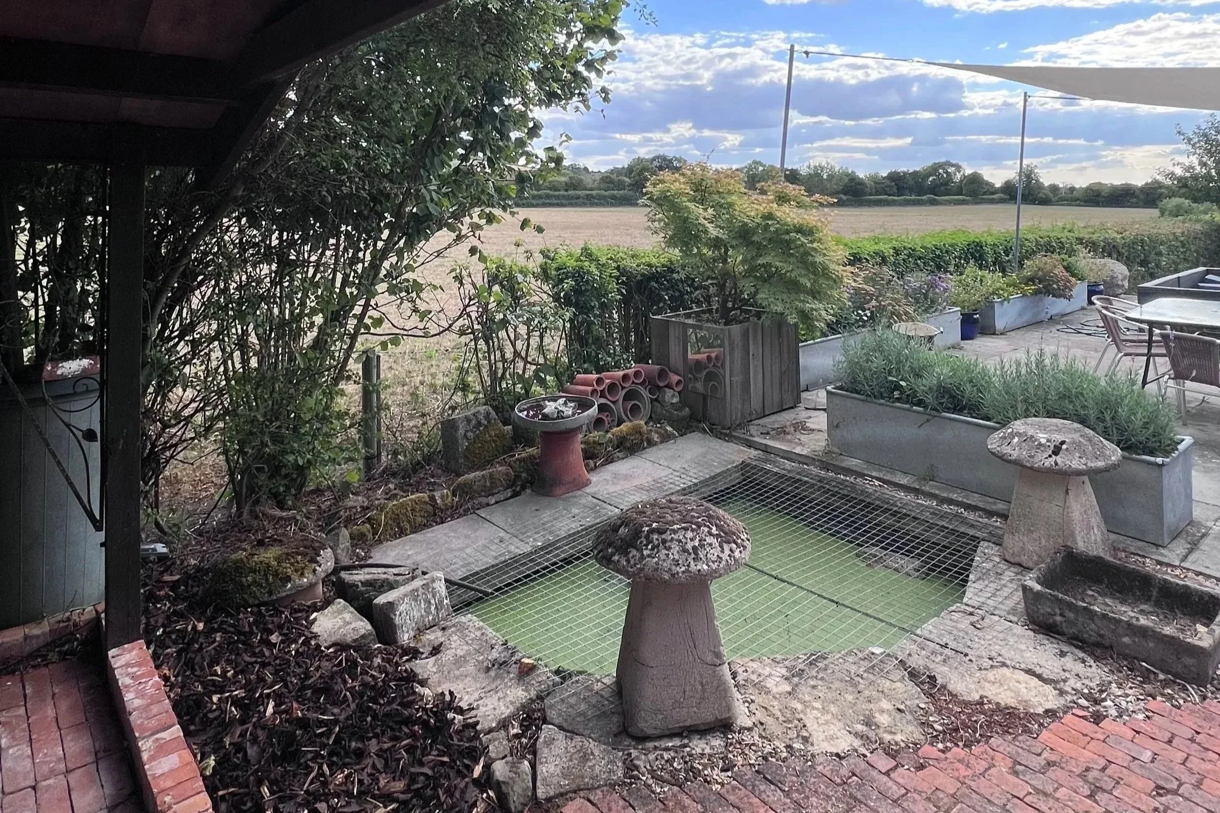 A backyard patio area with potted plants, rocks, and a small pond covered with green mesh, surrounded by a garden with trees and a field in the background, under a partly cloudy sky.
