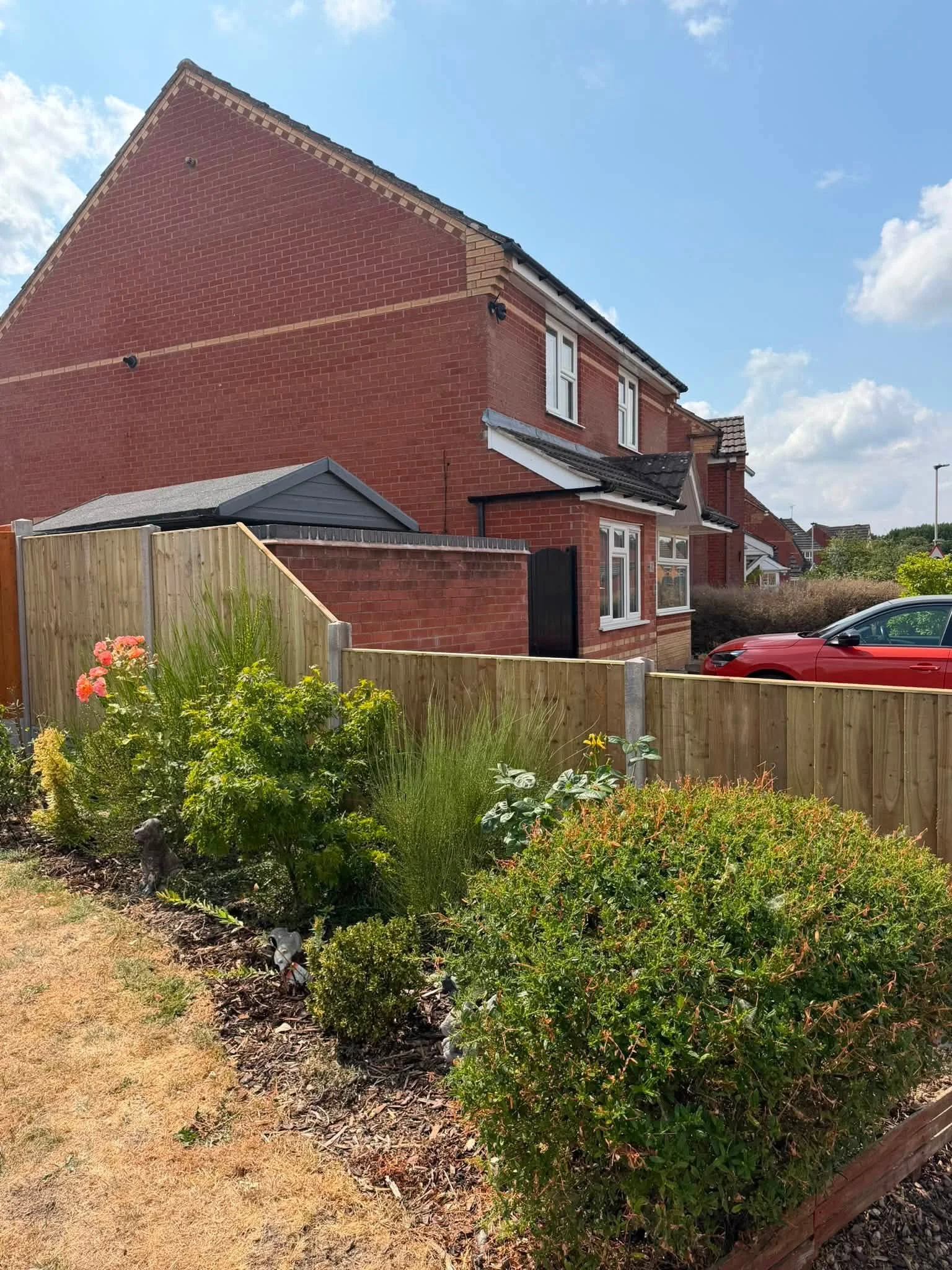 A suburban garden with a wooden fence, various bushes and flowers, a lawn with dry grass, and a red car parked on the street in front of a red brick house under a blue sky with some clouds.