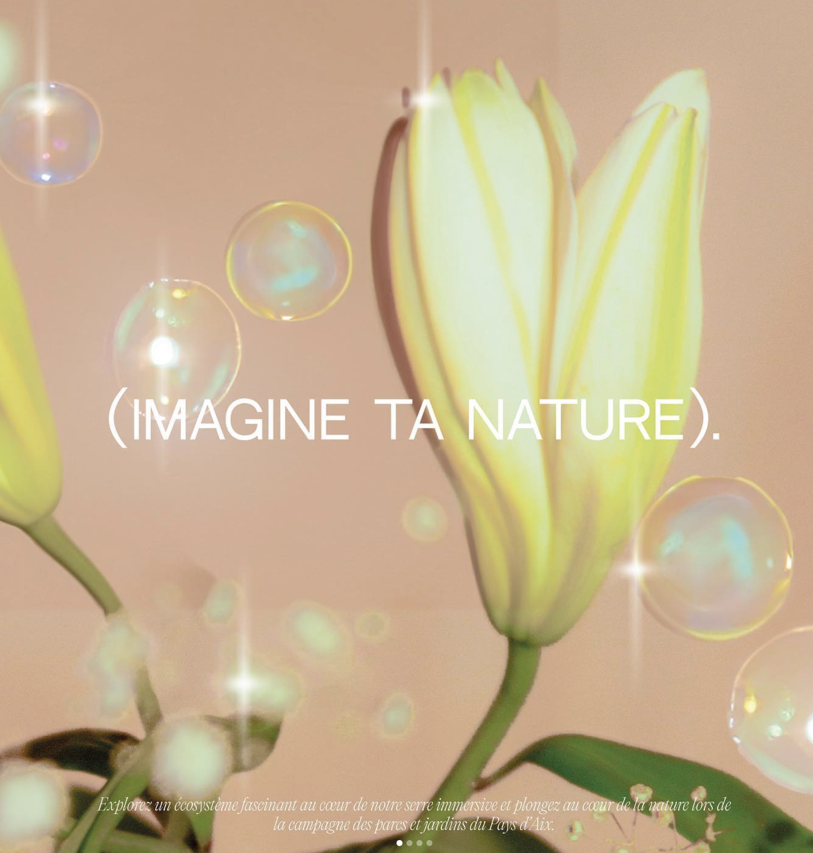 (IMAGINE TA NATURE)
