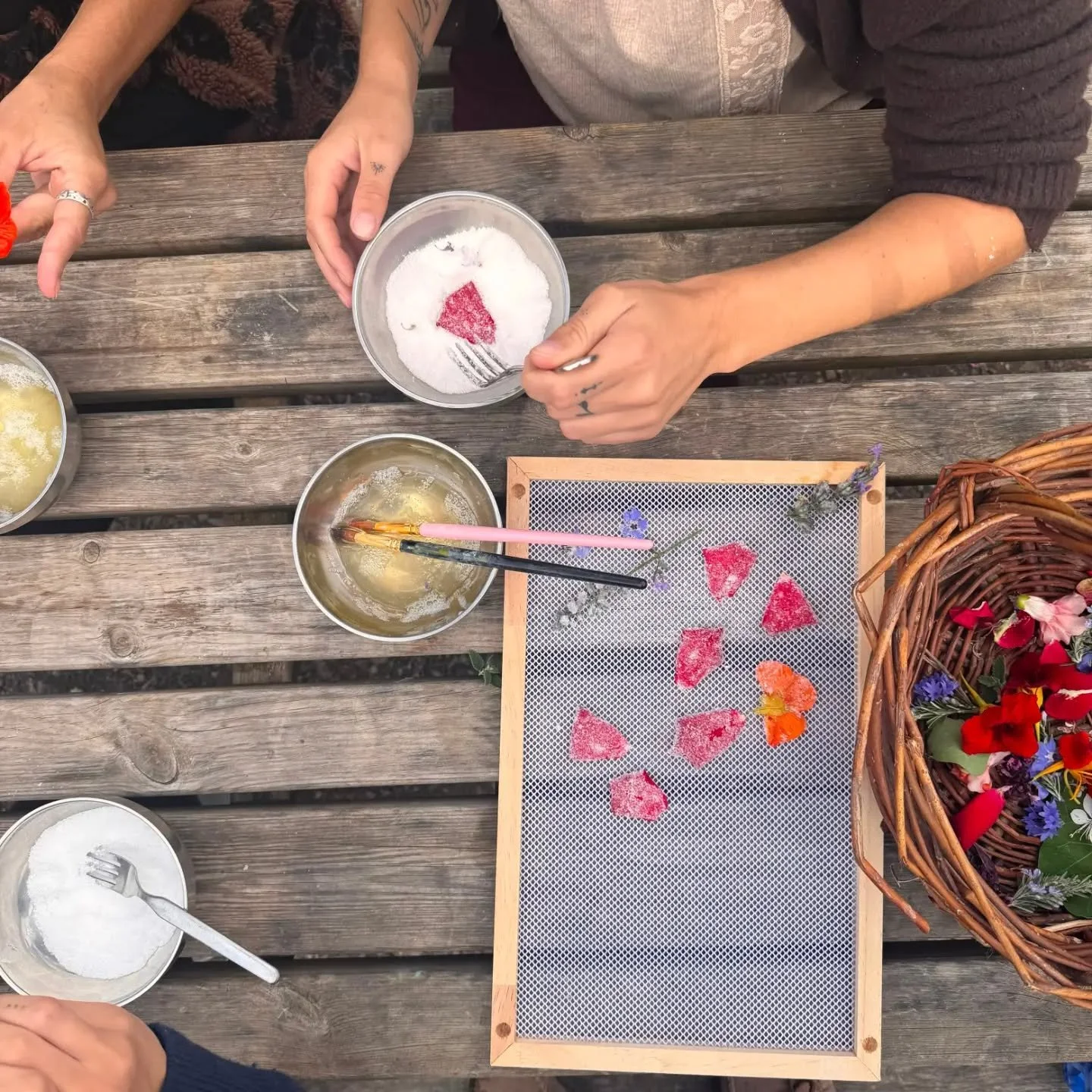 Trying to preserve things that were never meant to last.

Flowers gathered during the residency at @onthehilldevon , painted with sugar and left to crystallise in the sun.

I keep returning to this question in my work: what happens when we take somet