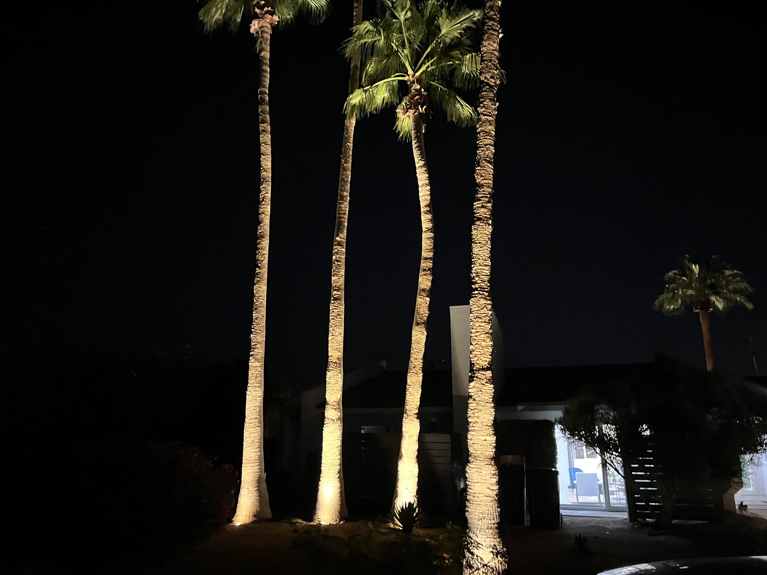 IMG_7870.jpeg