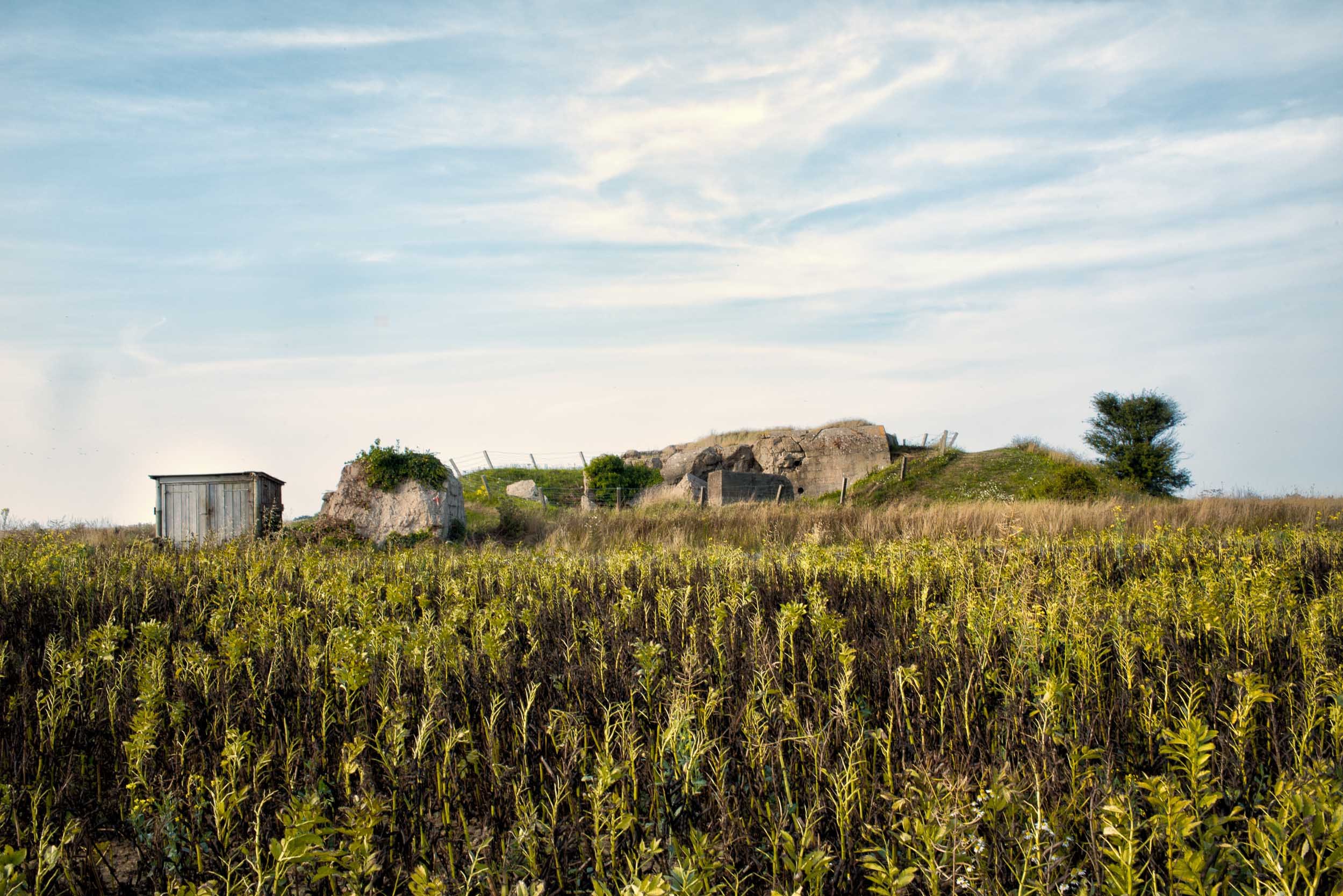 Longues-sur-Mer
