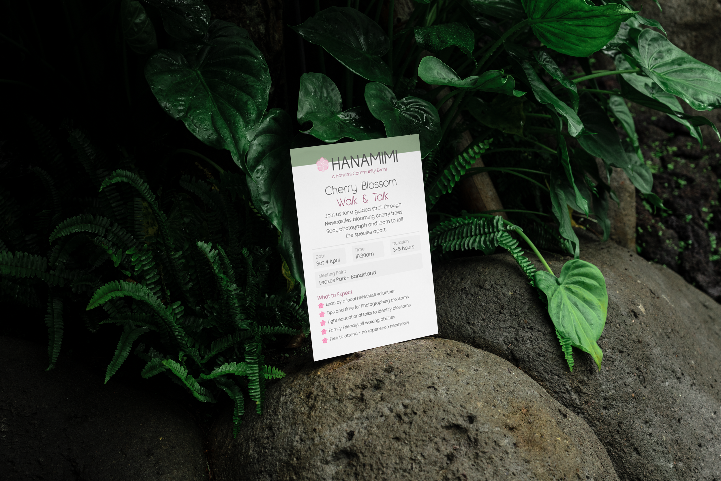 mockup-2199 (1).png