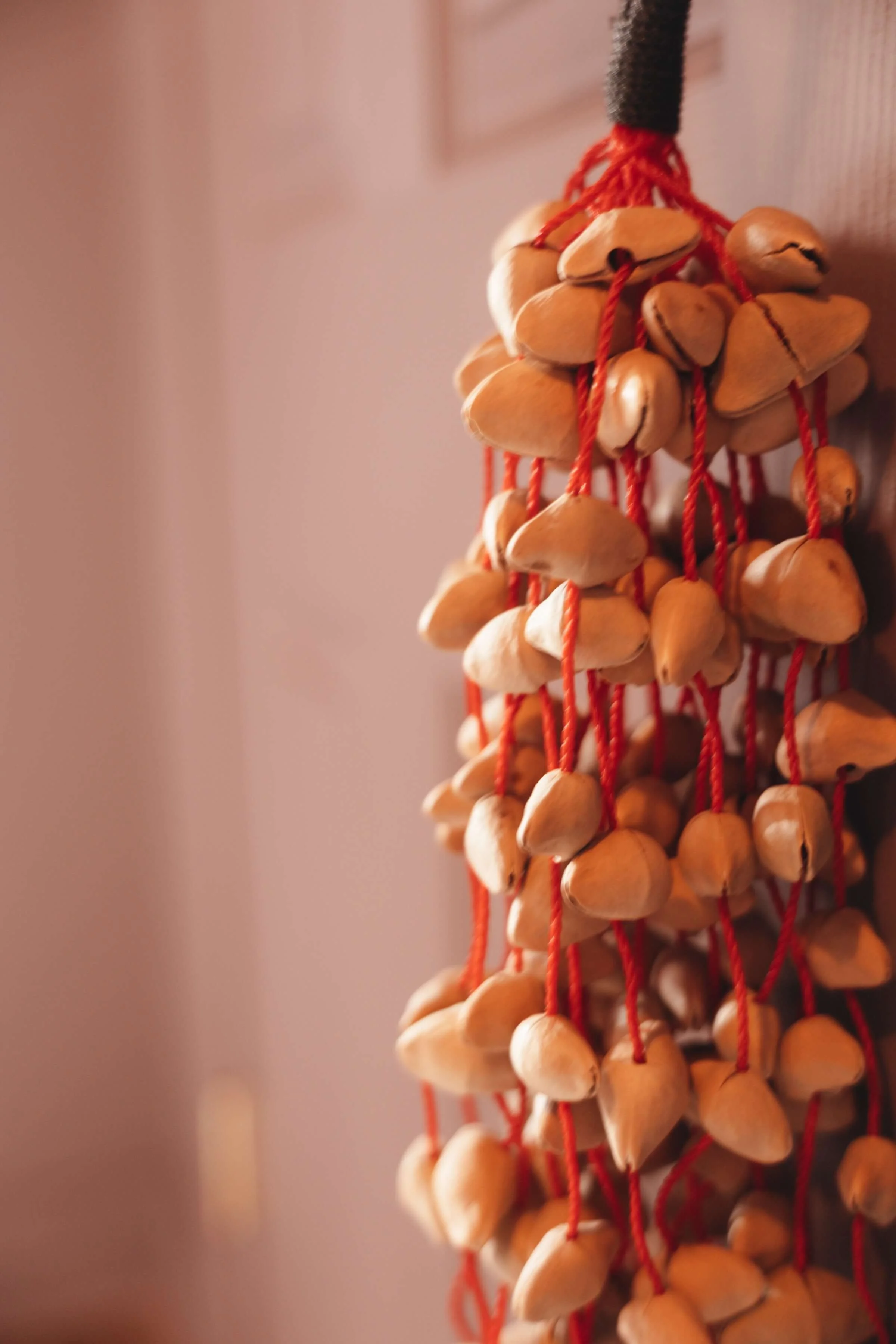 Close-up of a hanging decoration made of seashells tied with red string.