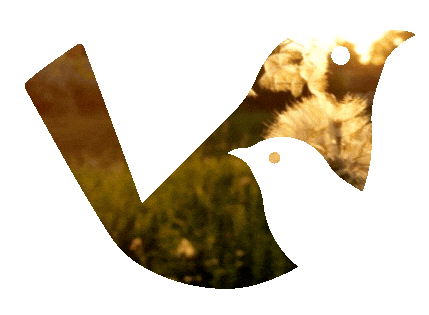 A silhouette of two birds with a floral and green landscape scene inside.