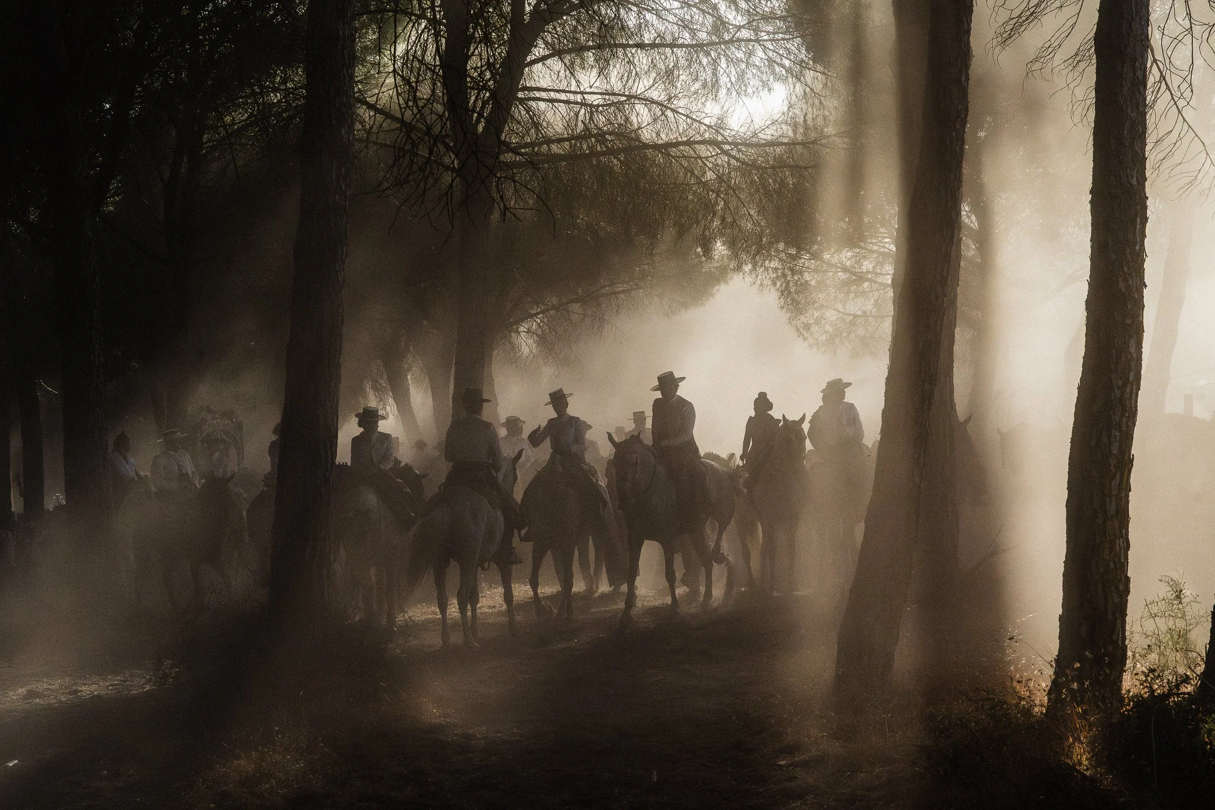 A group of people on horseback riding through a foggy forest at dawn or dusk, with tall trees lining the path, creating a mysterious atmosphere.