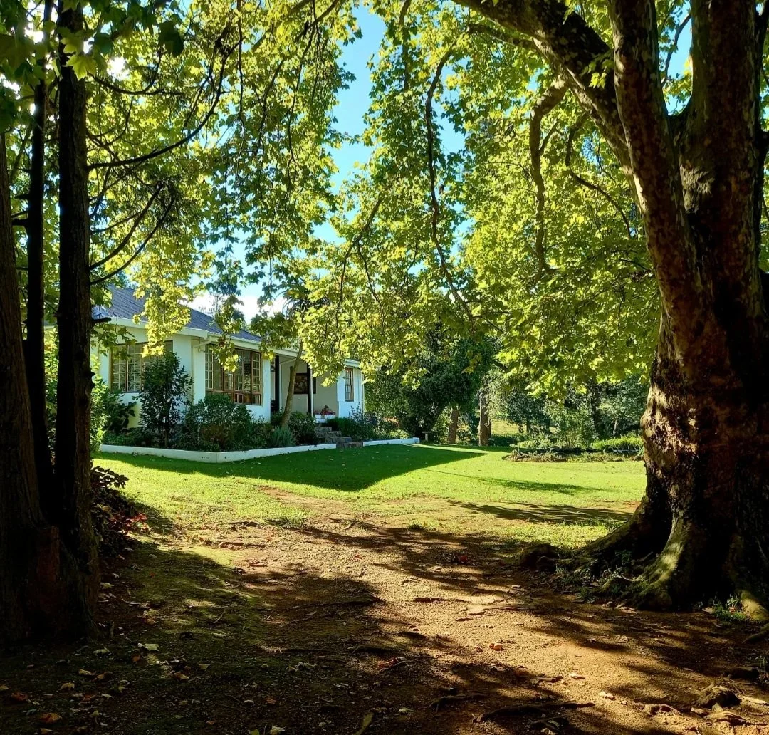 Accommodation viewed through the branches of a large oak tree.