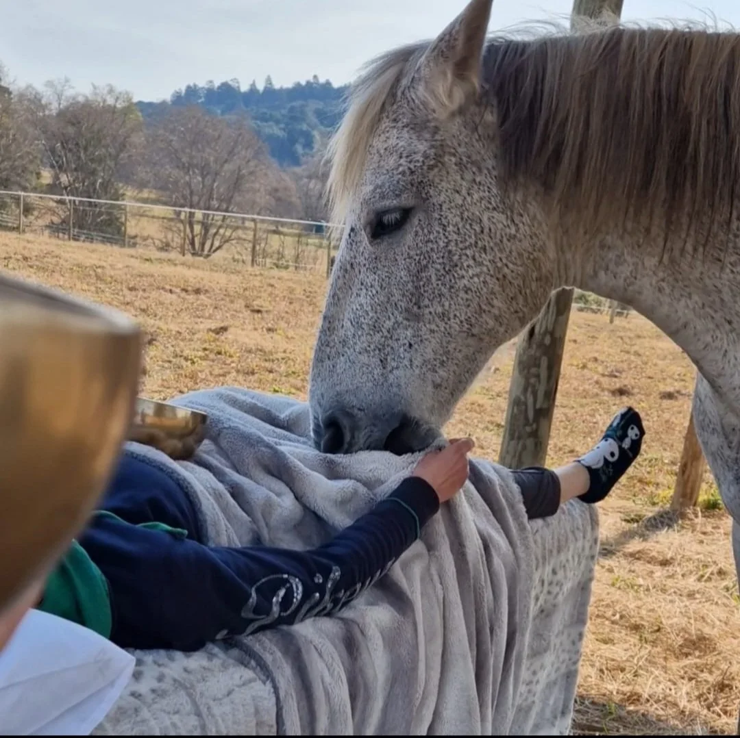 Equine-assisted sound therapy session at Iyashi.