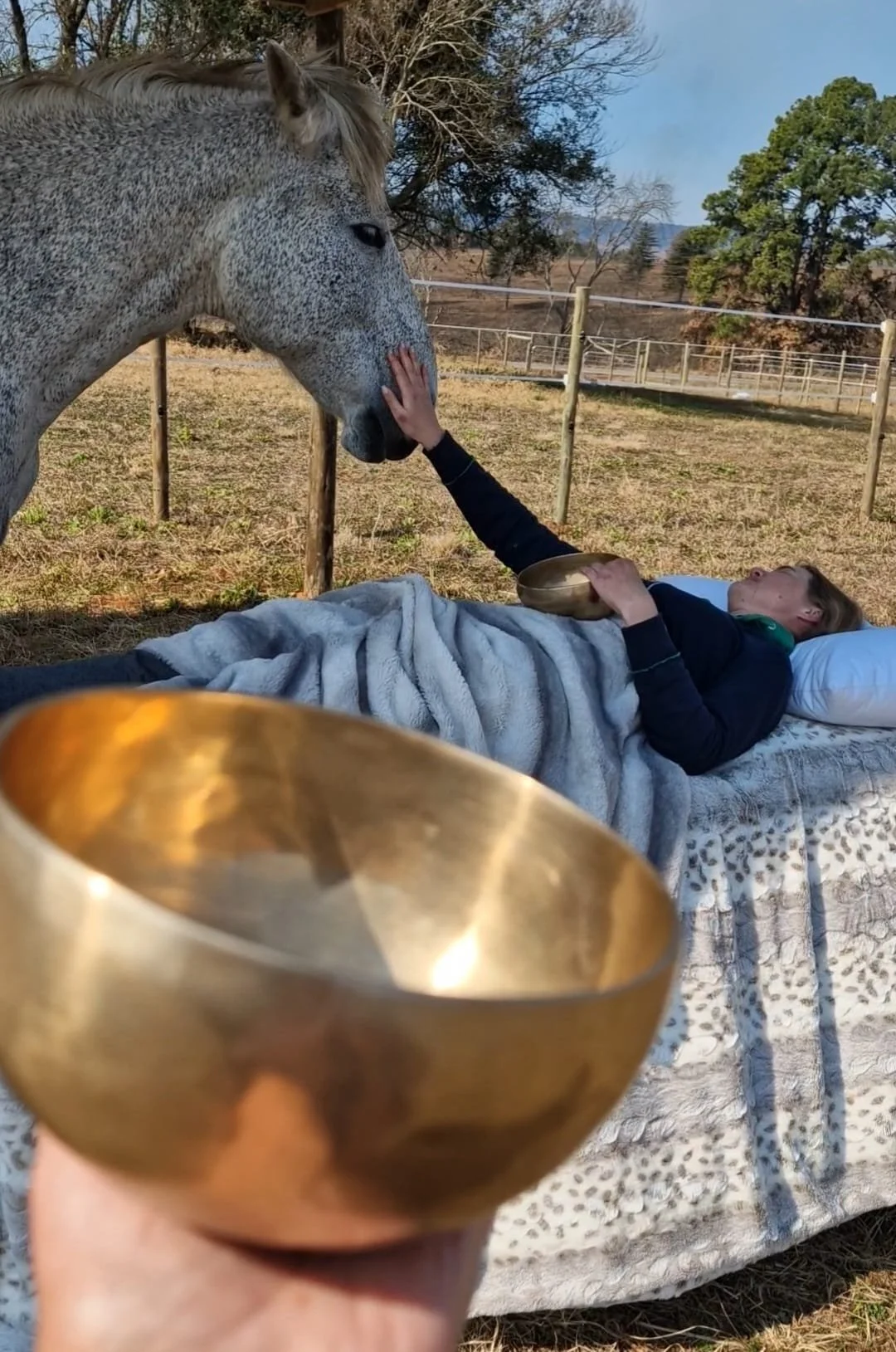 Equine-assisted sound therapy with a horse at Iyashi.