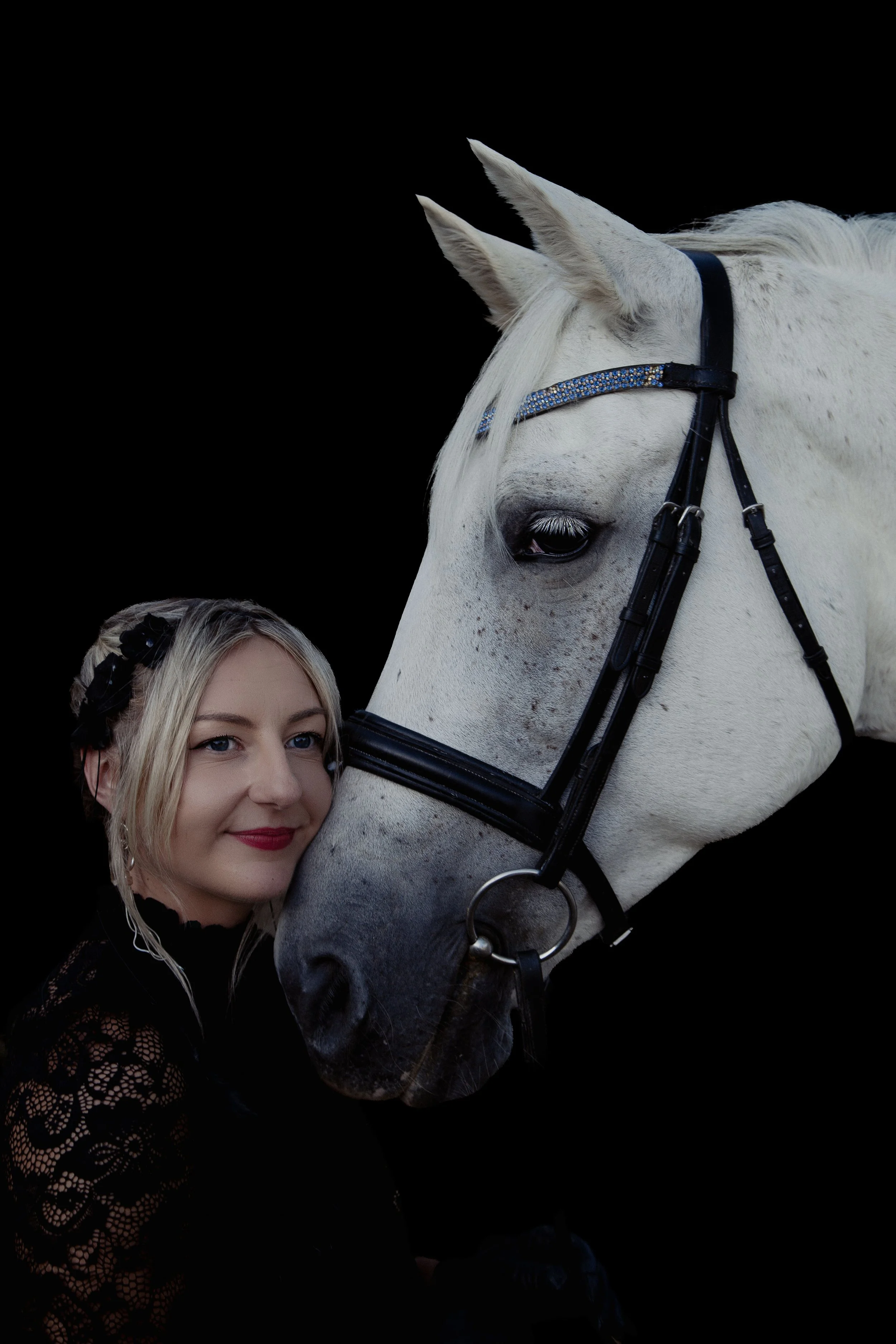 Equine Fine‑Art Portraits