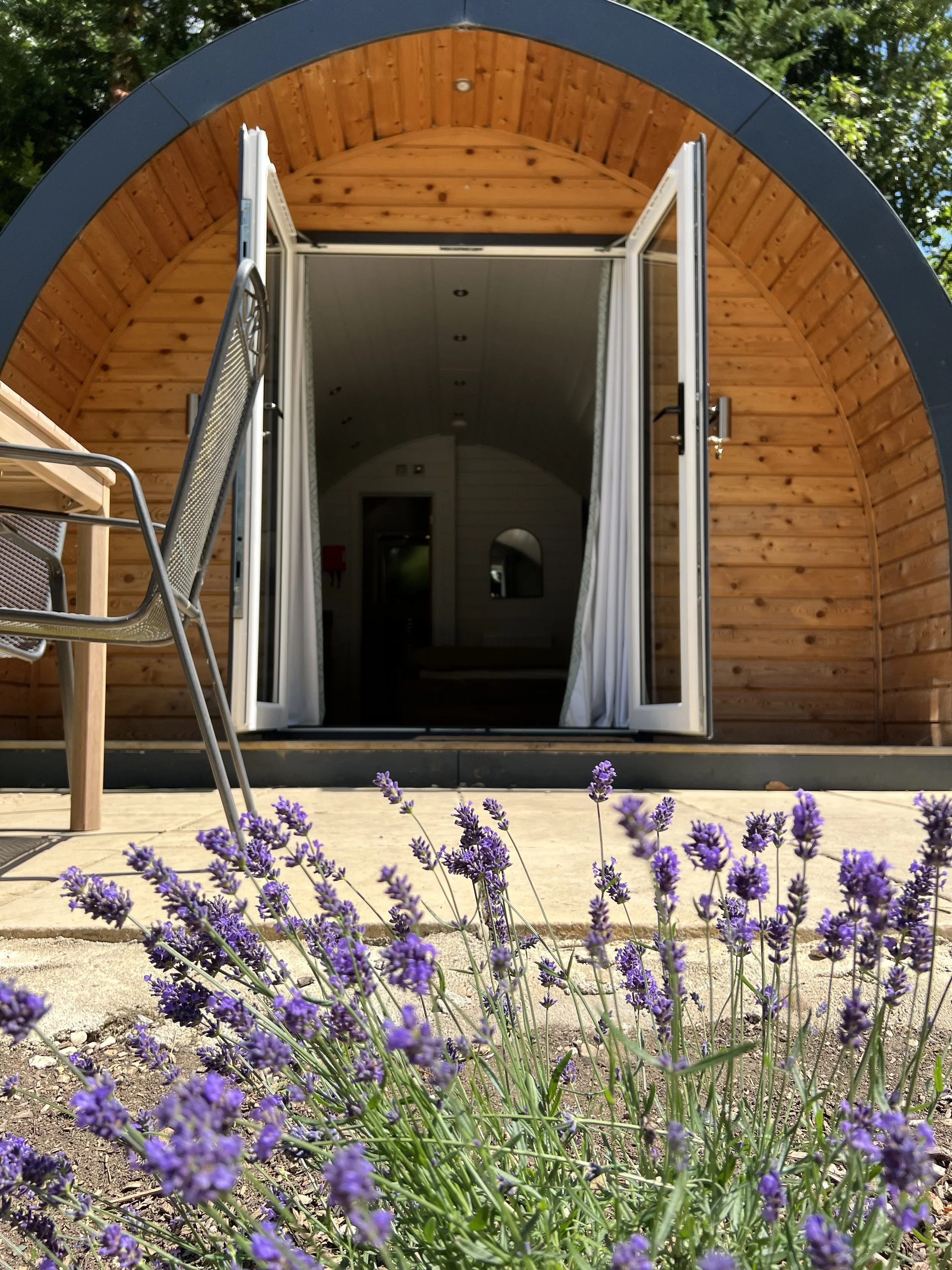 View of a small wooden house or shed with open glass doors, shot from a low angle with purple lavender flowers in the foreground. The interior is partially visible through the open doors, and the background includes green trees and blue sky.