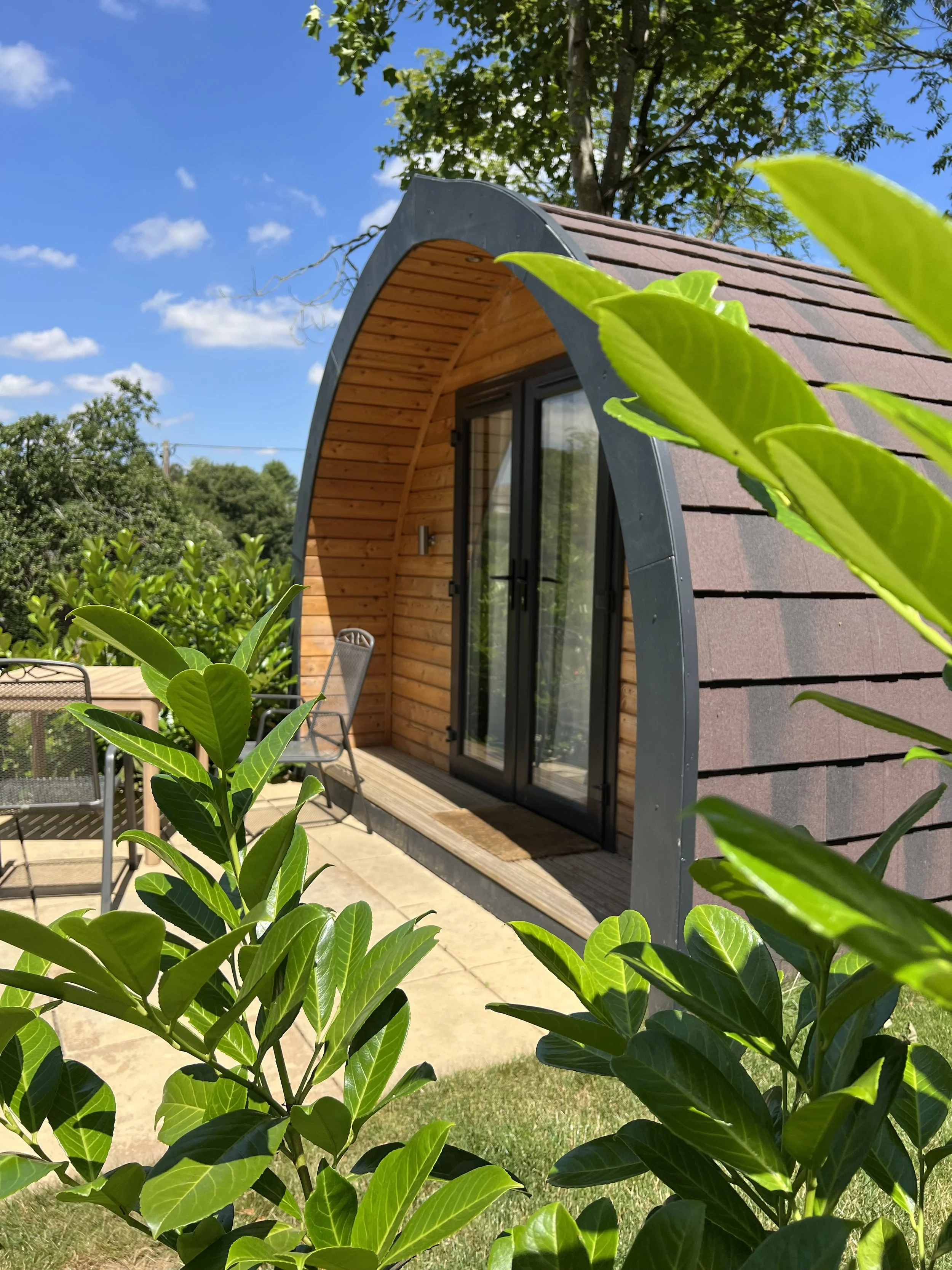 A small wooden building with a curved roof and glass door, surrounded by lush green plants, under a bright blue sky with scattered white clouds.