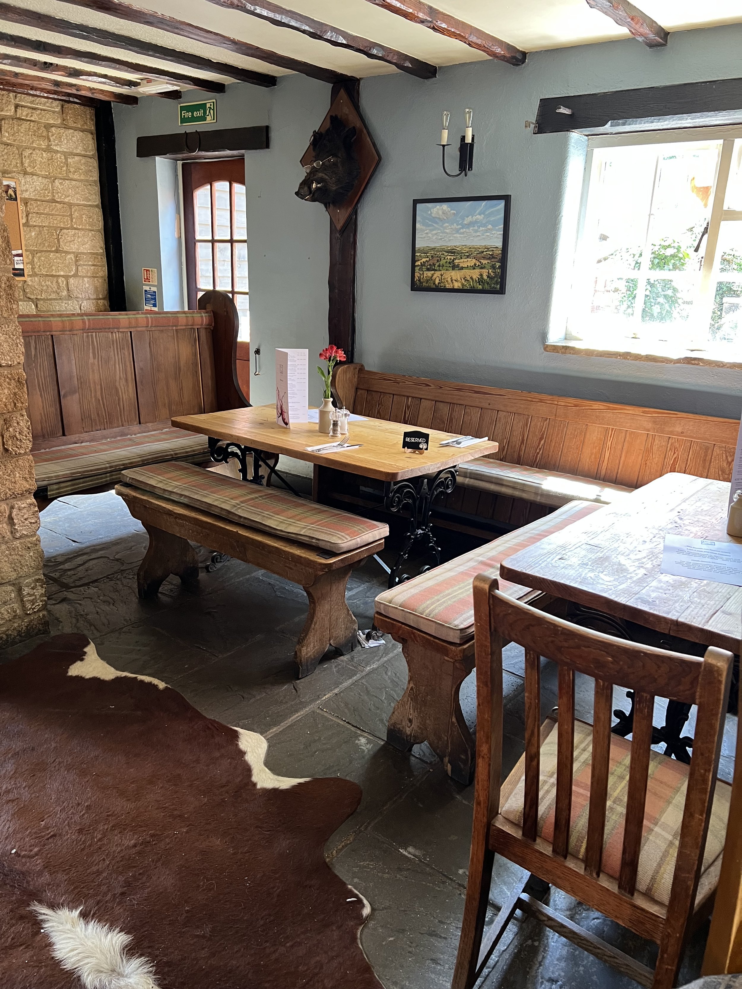 A cozy restaurant interior with wooden benches and tables, a red and black cowhide rug, a window with sunlight, a framed landscape painting, a mounted boar head on the wall, and a fire exit sign.