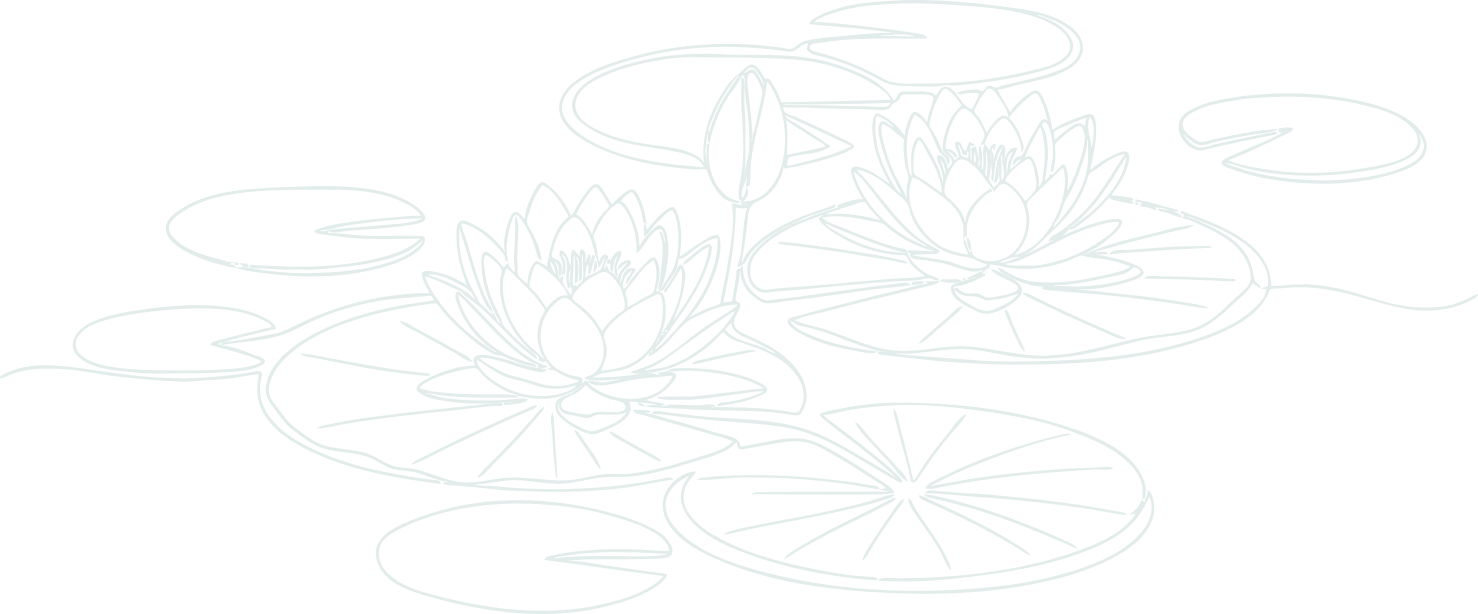 A line drawing of a pond with water lilies and lily pads, featuring two blooming water lilies and one closed bud.