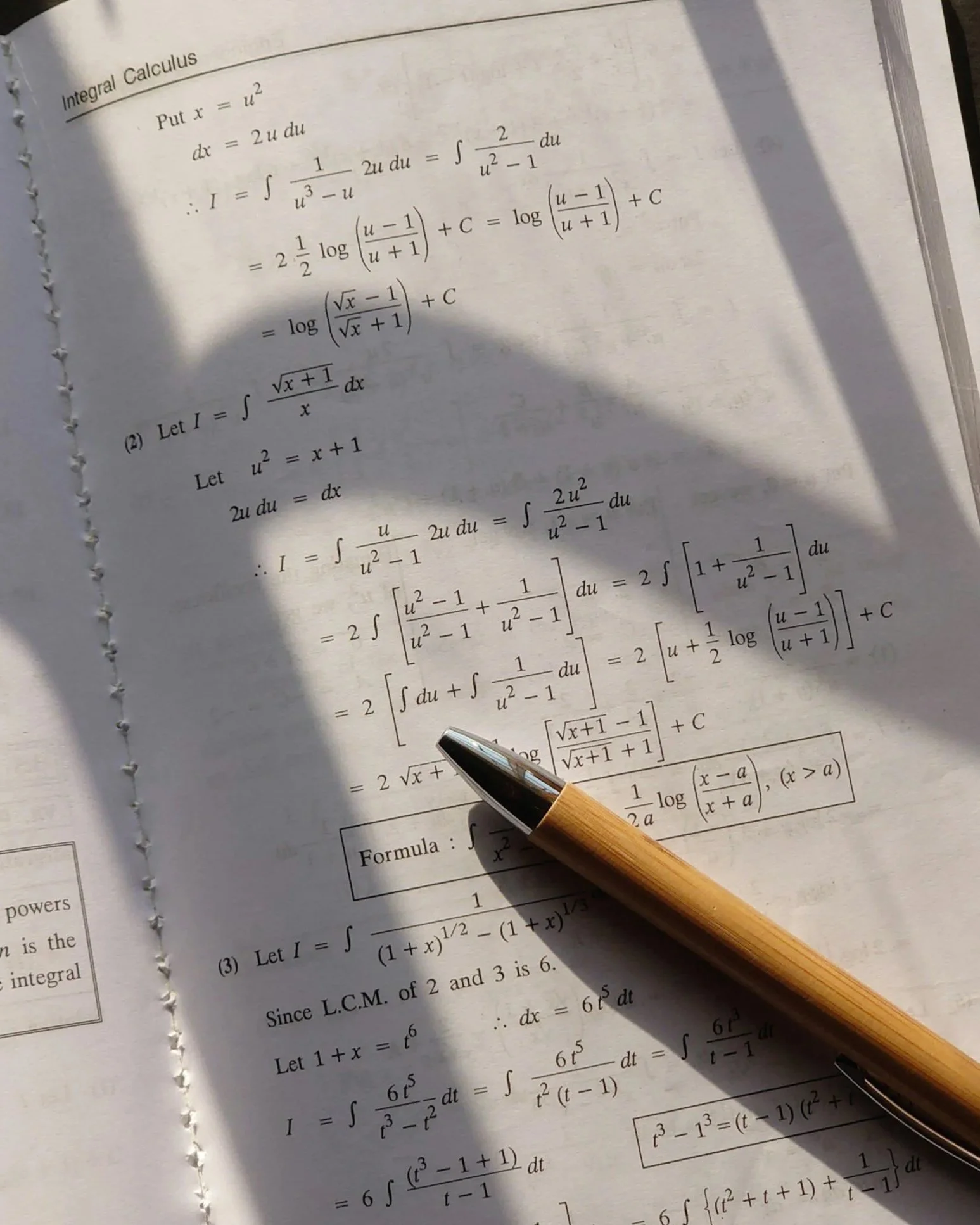 A page from a mathematics textbook with calculus formulas, and a wooden pen resting on it. The page includes integration problems and mathematical expressions.