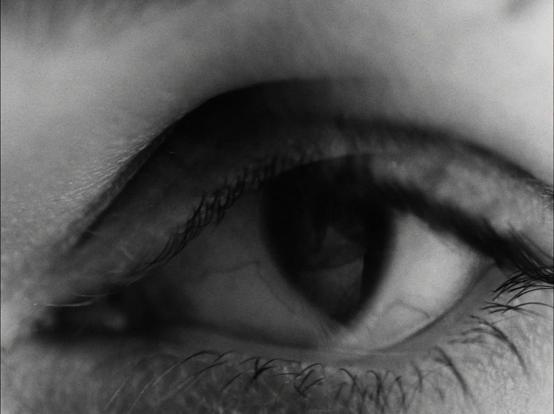 Frisson between us - DOP louis tu