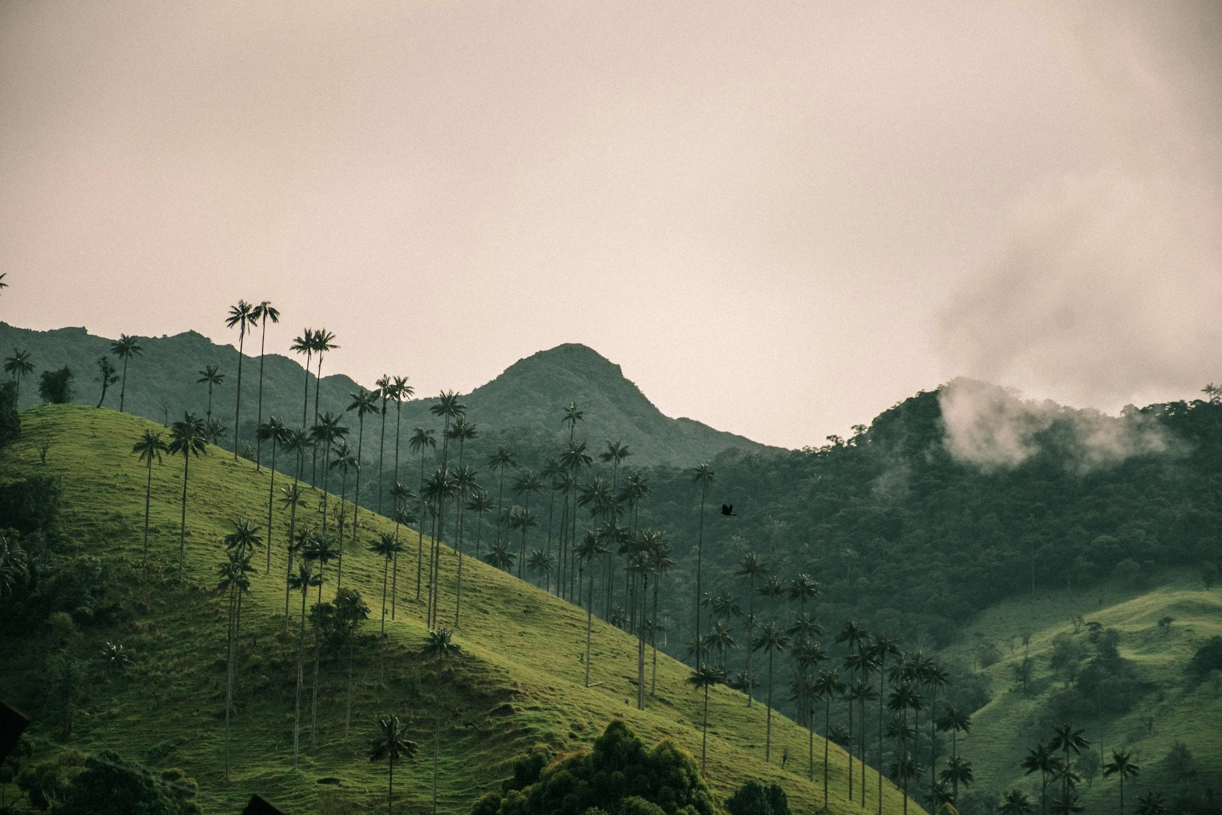 unsplash-image-omJtNsCi5gk.jpg