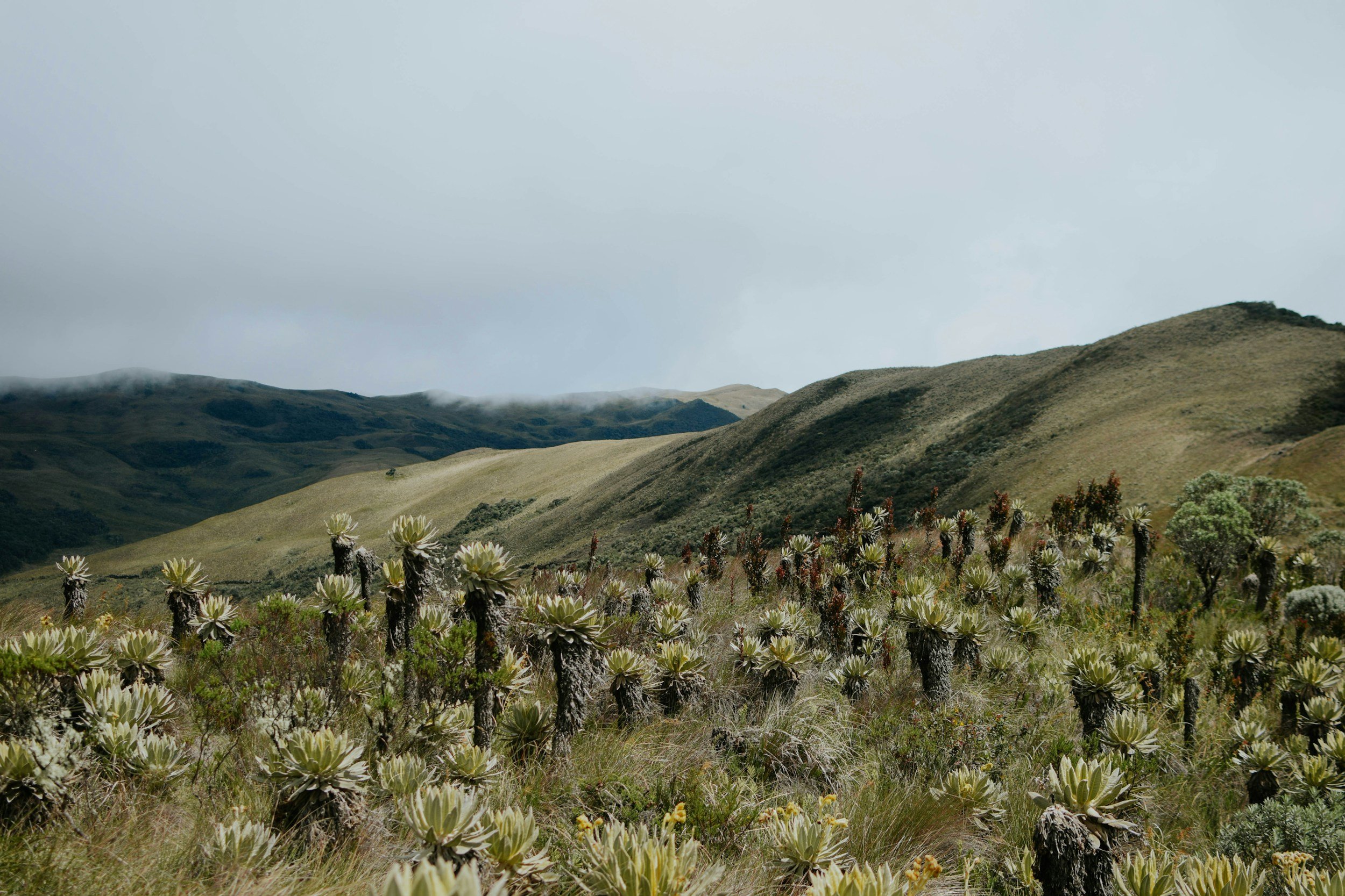 unsplash-image-9QnkwuCUC0g.jpg